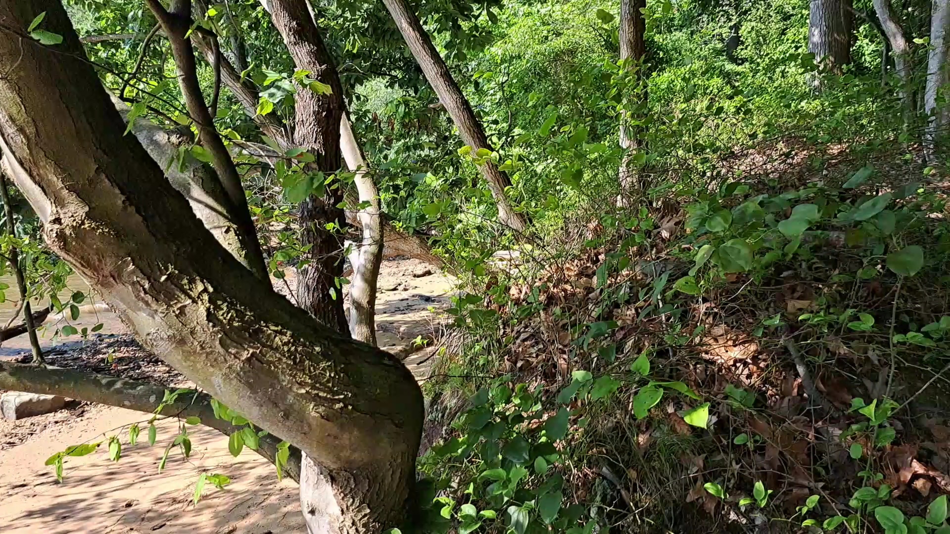 Elk Neck State Park - North East, MD