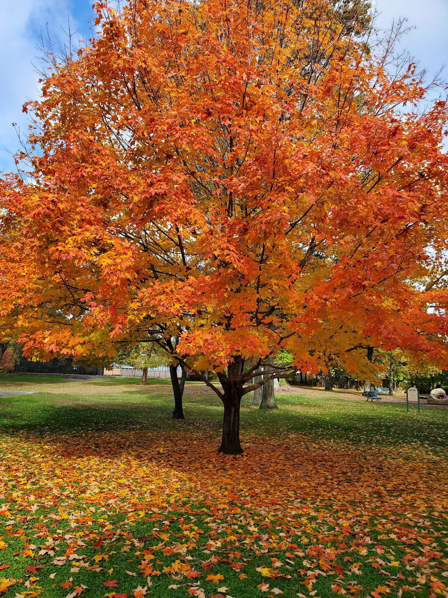 Frothingham Park - North Easton, MA