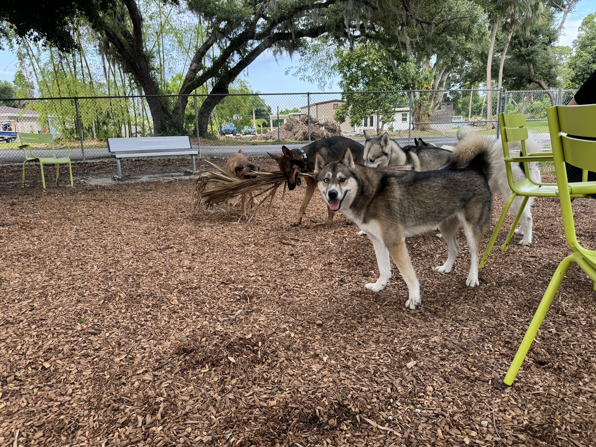 Pooch Park Dog Park at Judd Community Park - North Fort Myers, FL