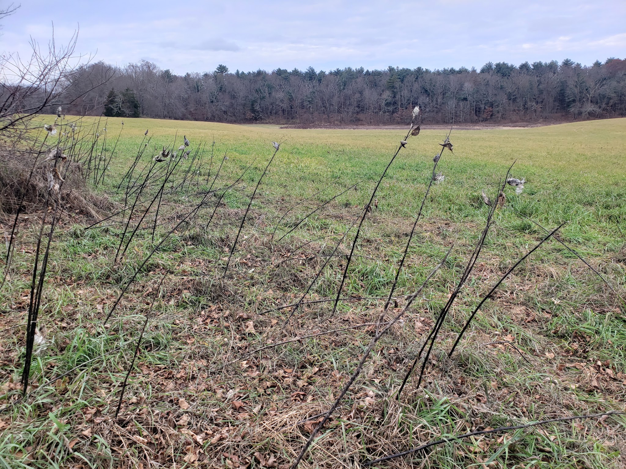 Franklin Wildlife management area (Hunting) - North Franklin, CT