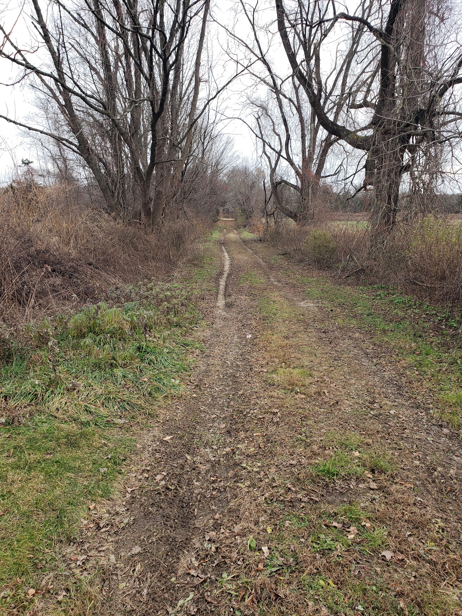 Franklin Wildlife management area (Hunting) - North Franklin, CT