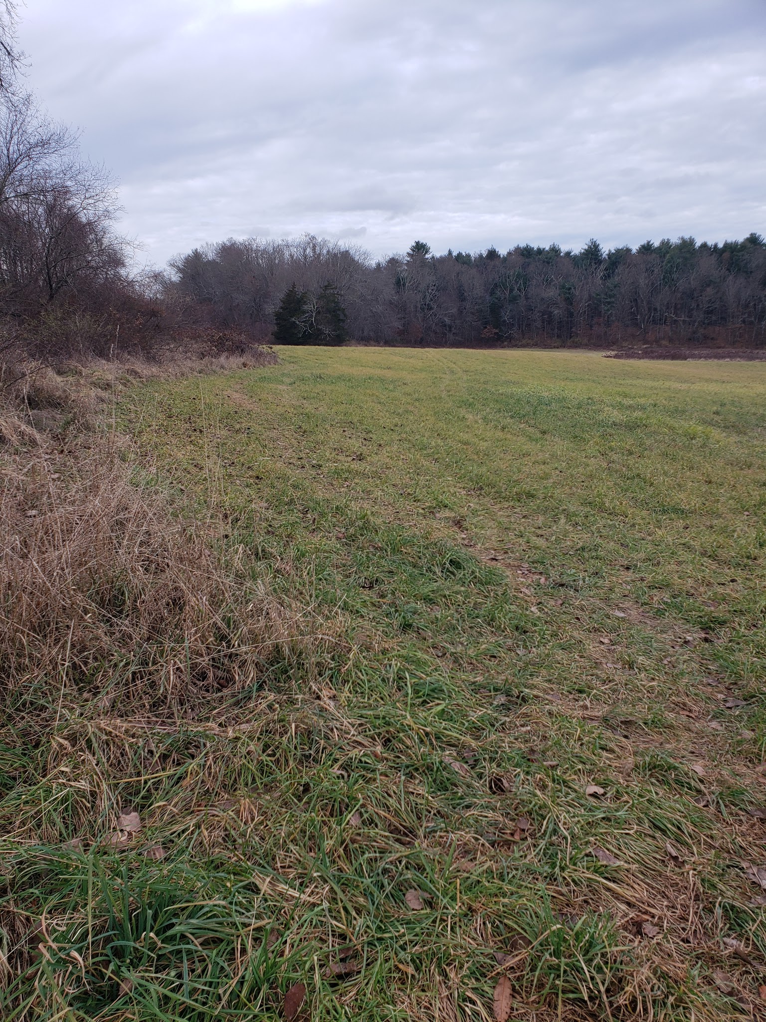 Franklin Wildlife management area (Hunting) - North Franklin, CT