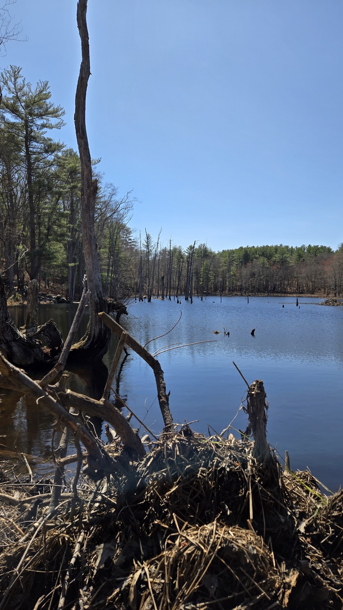 Thompson Dam - North Grosvenor Dale, CT