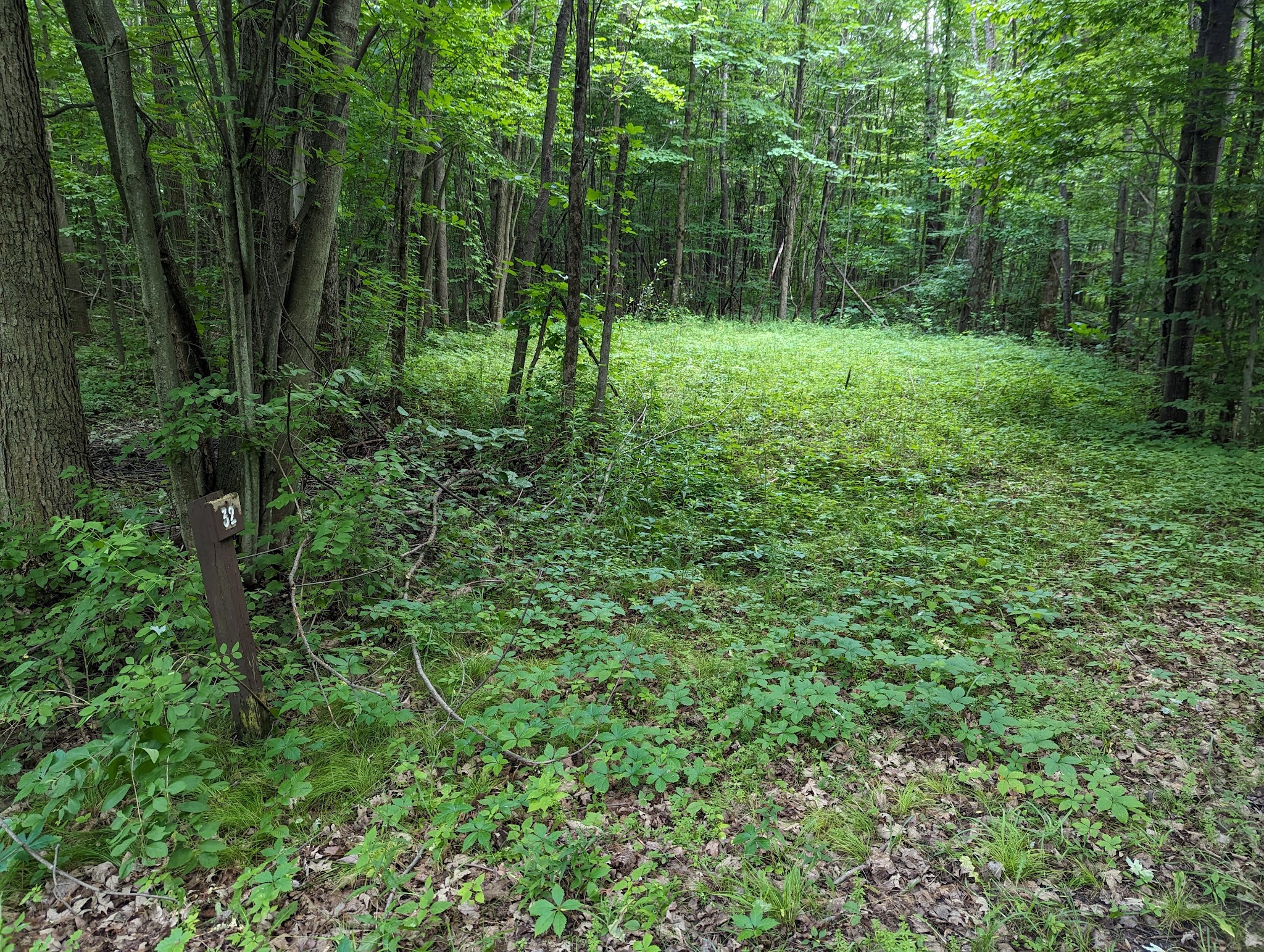 North Hero State Park - North Hero, VT