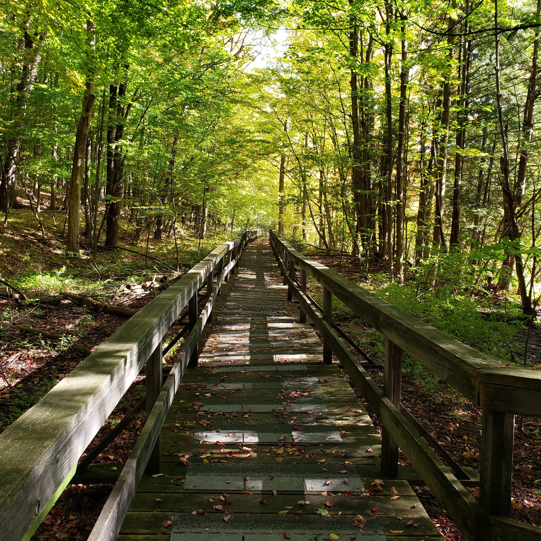 Beaver Meadow Nature Center / Buffalo Audubon Society - North Java, NY