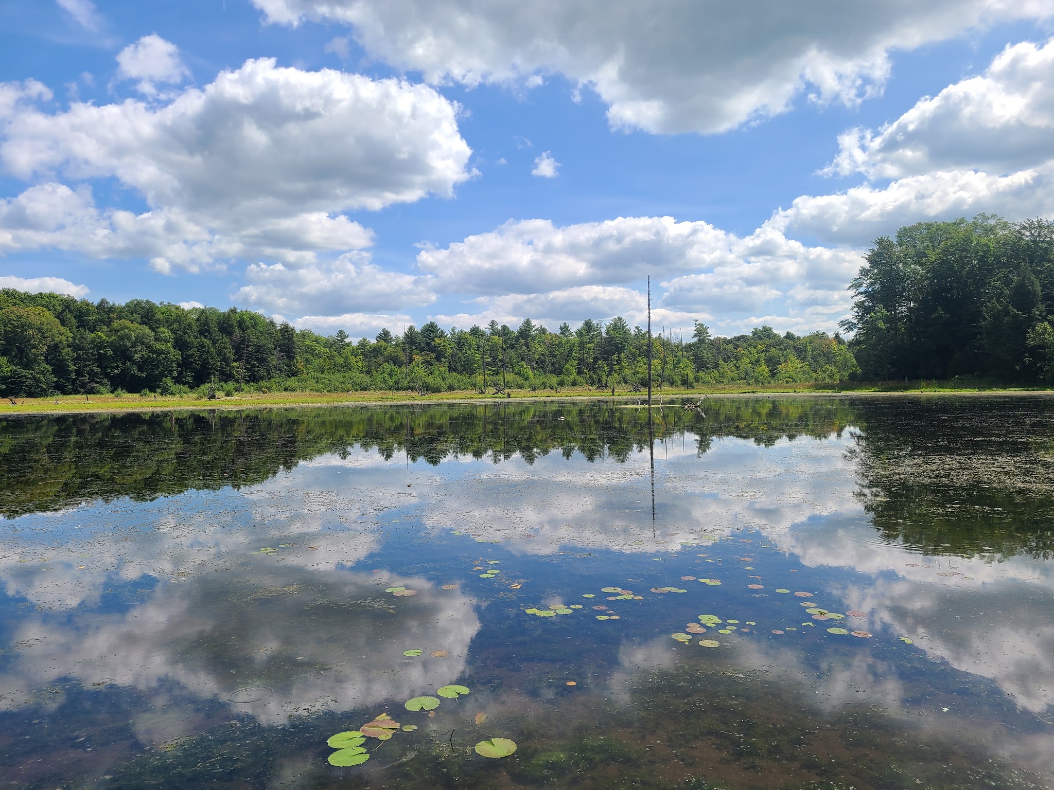 Beaver Meadow Nature Center / Buffalo Audubon Society - North Java, NY