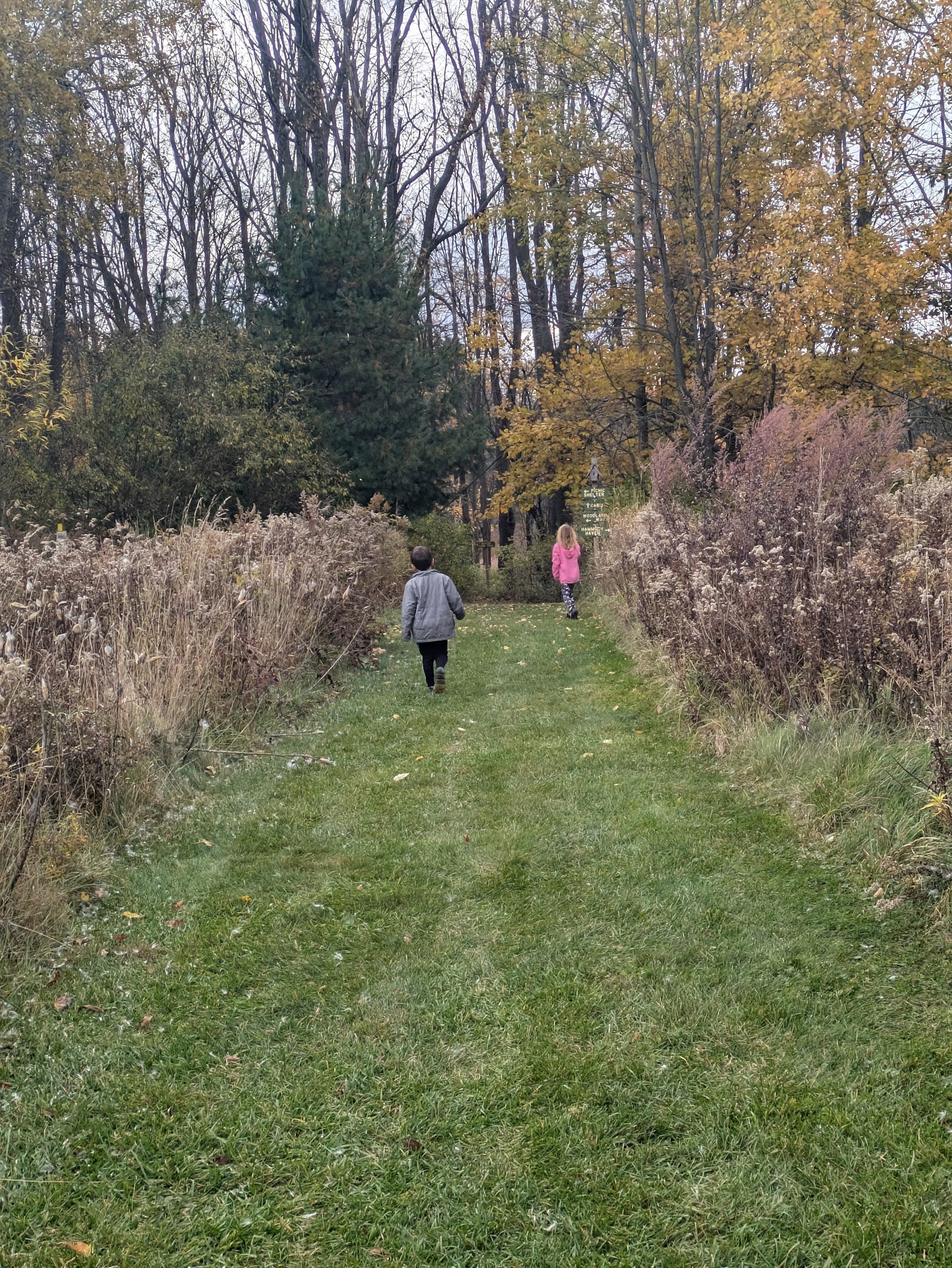 Buffalo Audubon Society Nature Center - North Java, NY