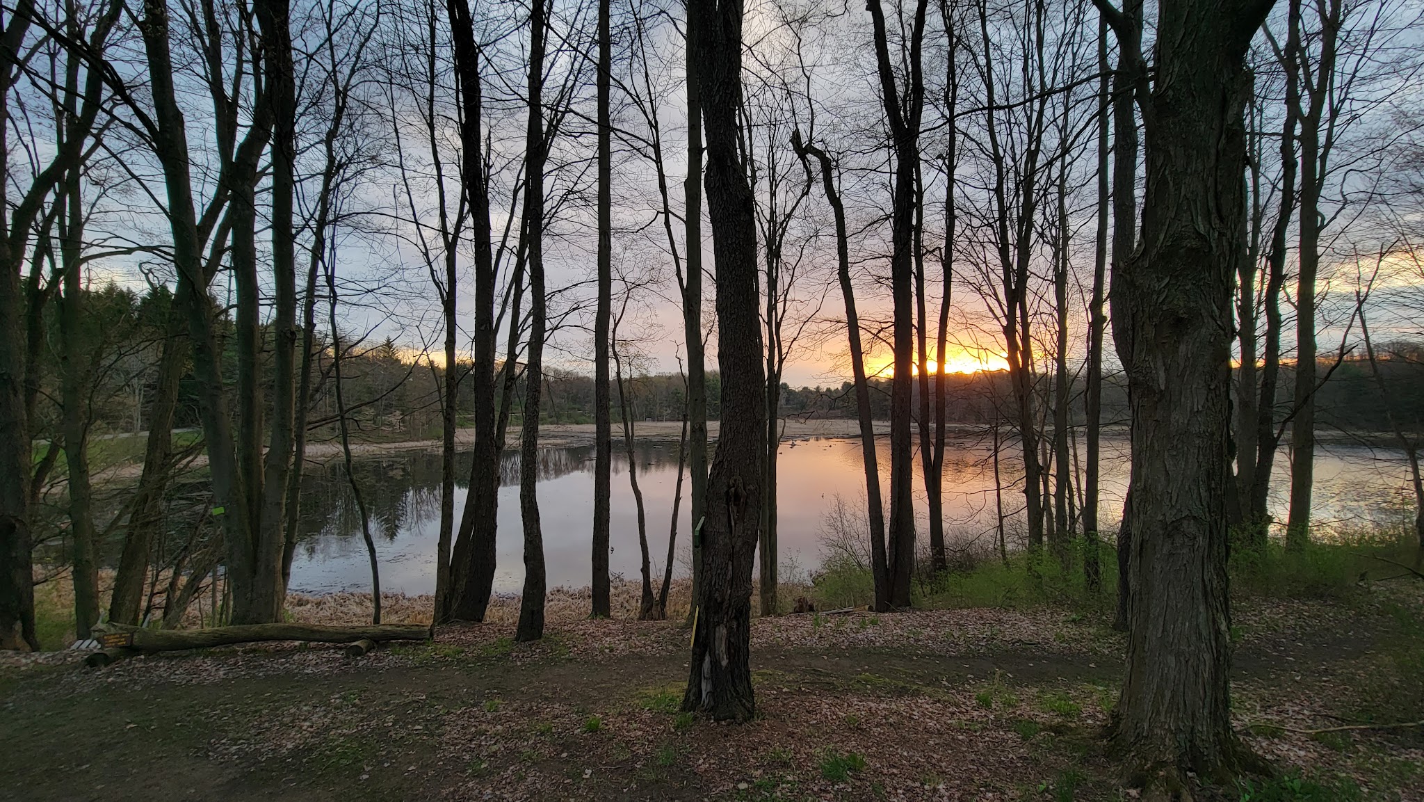 Buffalo Audubon Society Nature Center - North Java, NY