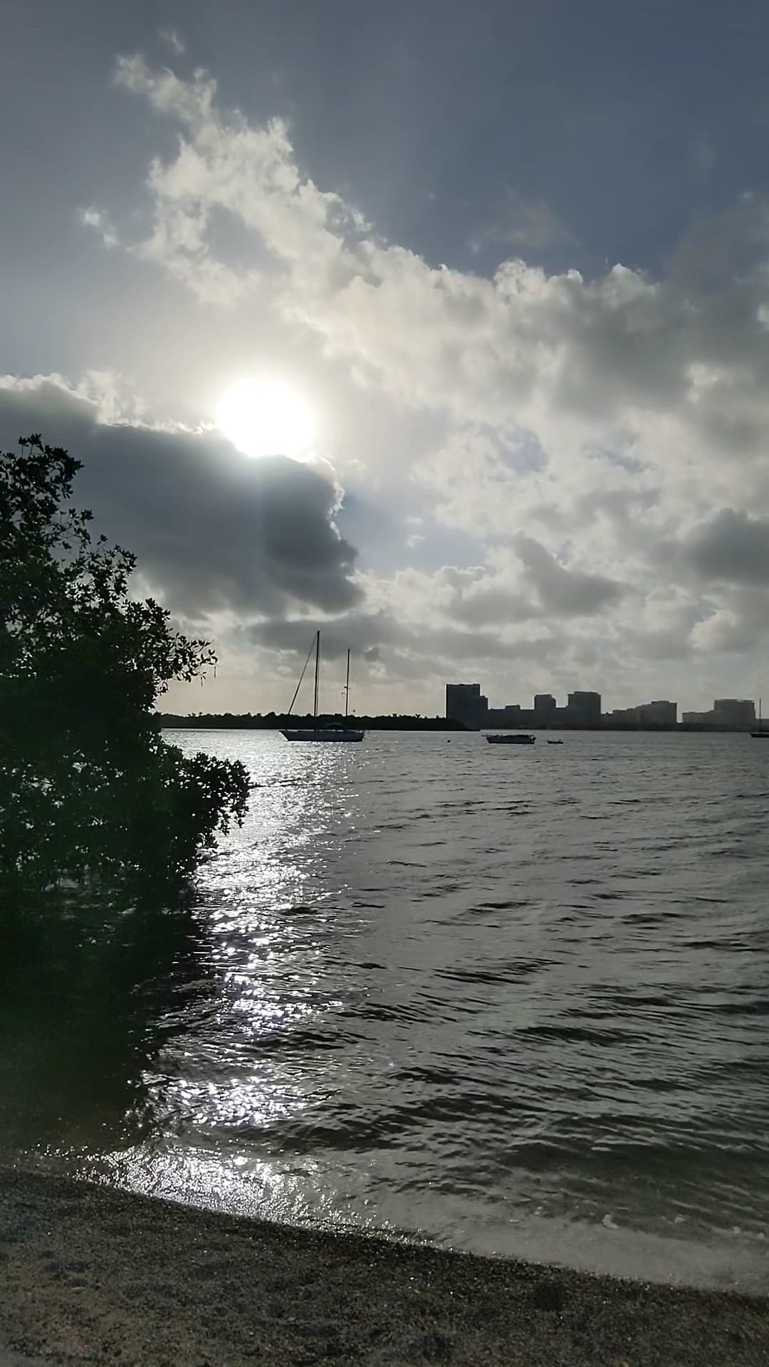 Arch Creek East Environmental Preserve (ACE Preserve) - North Miami, FL