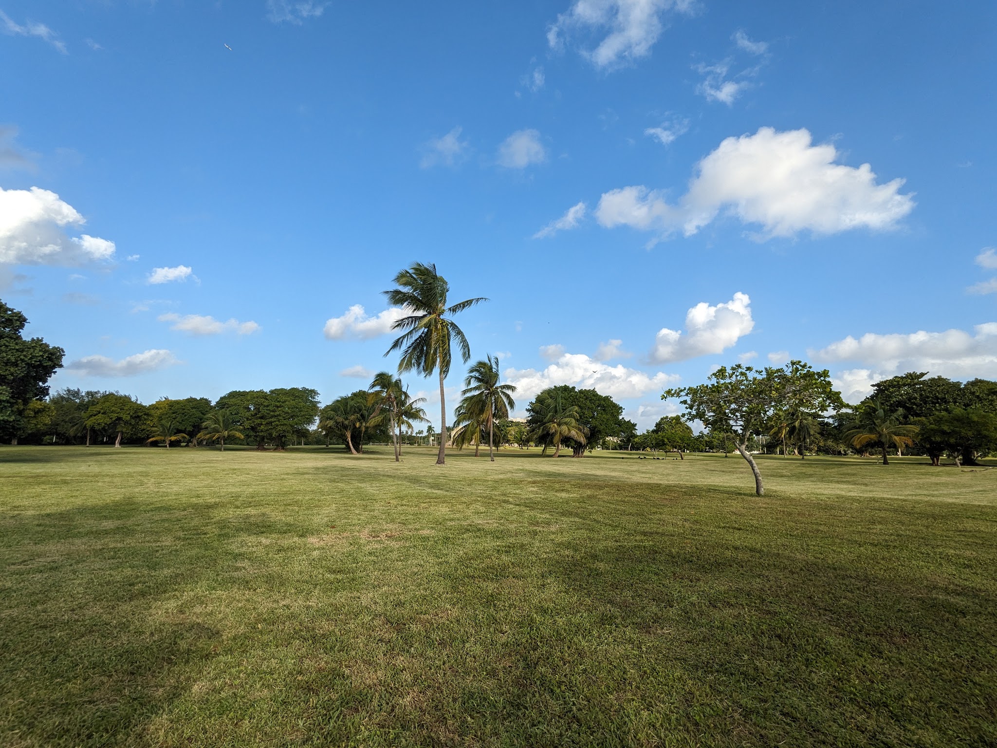 Arch Creek East Environmental Preserve (ACE Preserve) - North Miami, FL