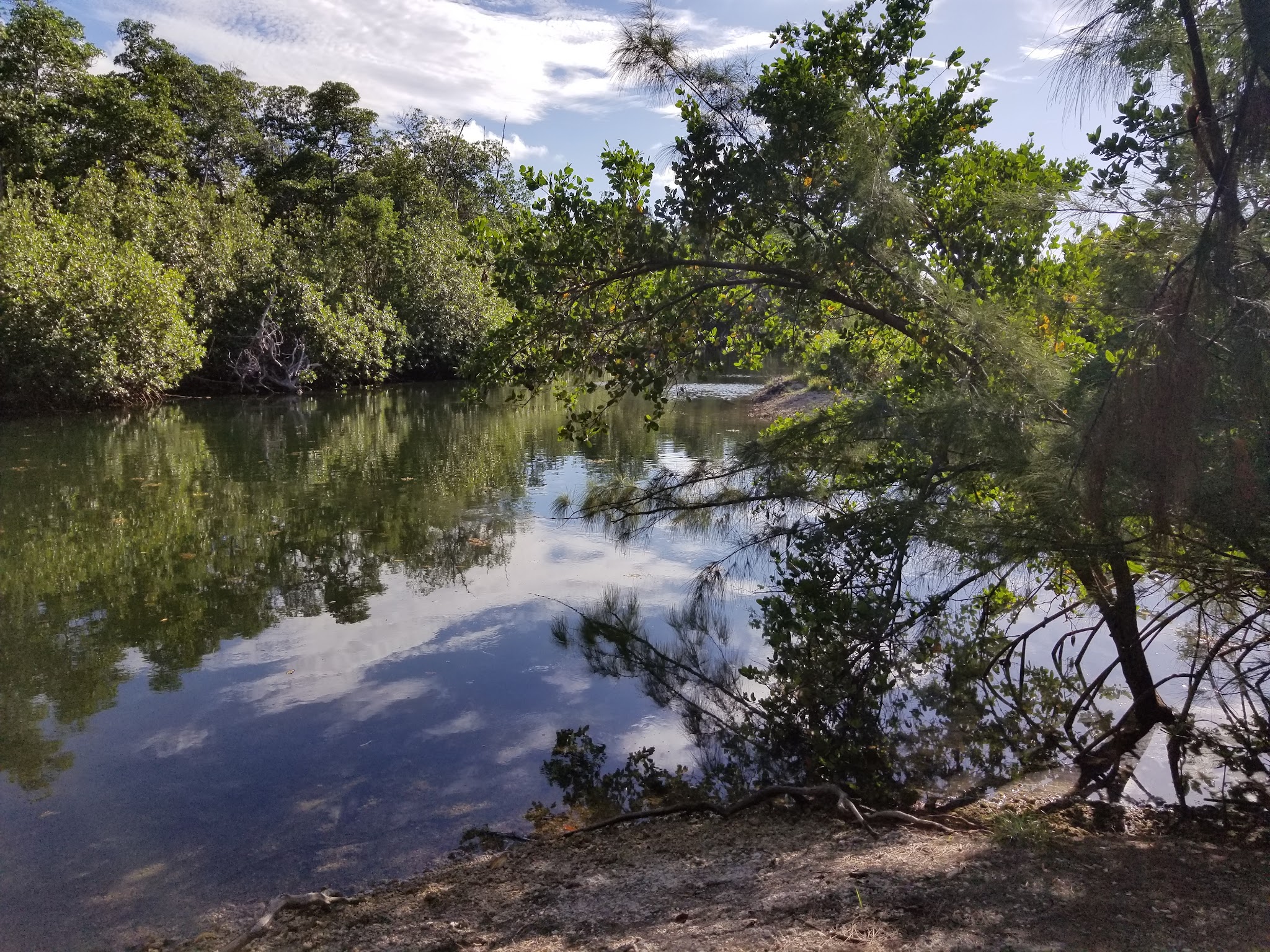 Arch Creek East Environmental Preserve (ACE Preserve) - North Miami, FL