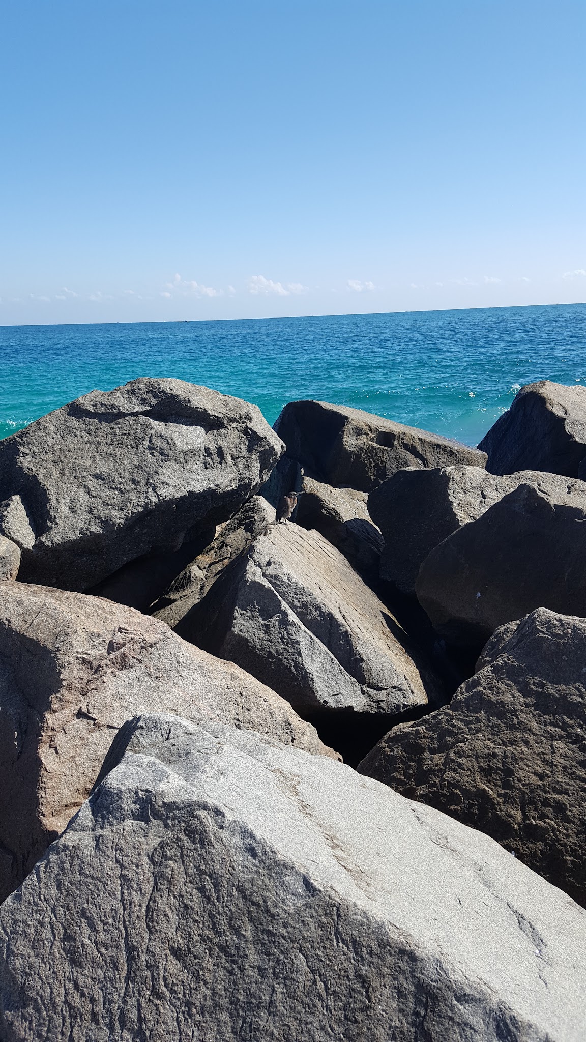 North Miami Parks Operations - North Miami, FL