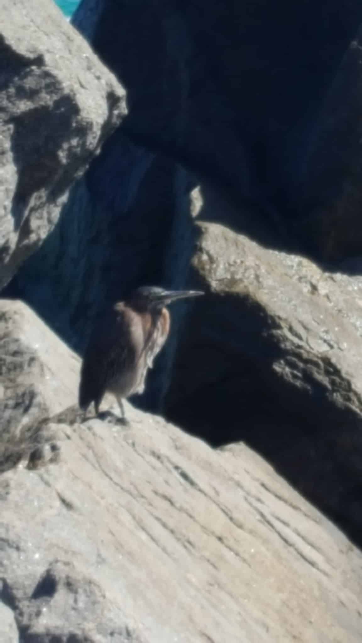 North Miami Parks Operations - North Miami, FL