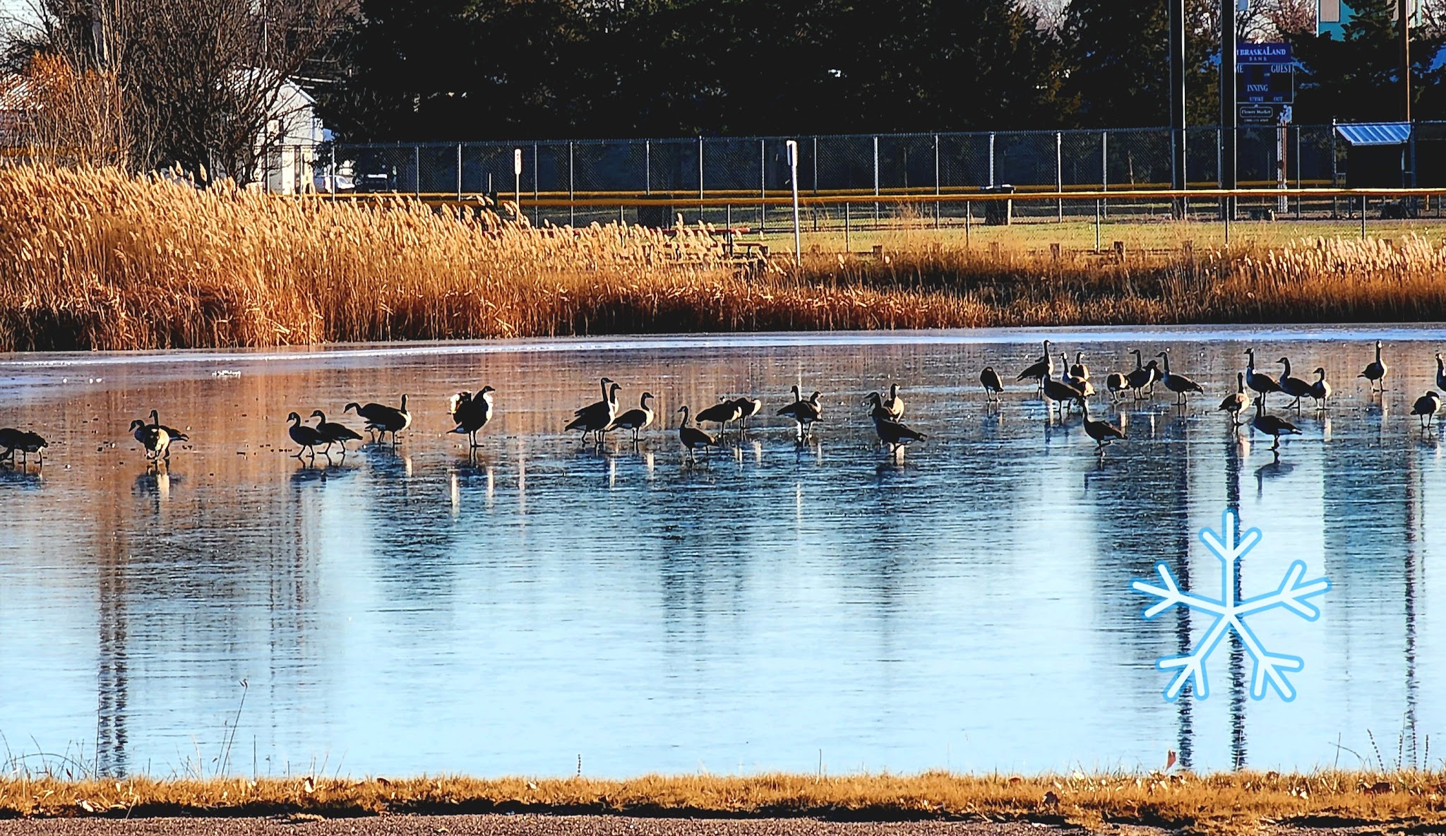 Happy Hound Retreat Dog Park - North Platte, NE
