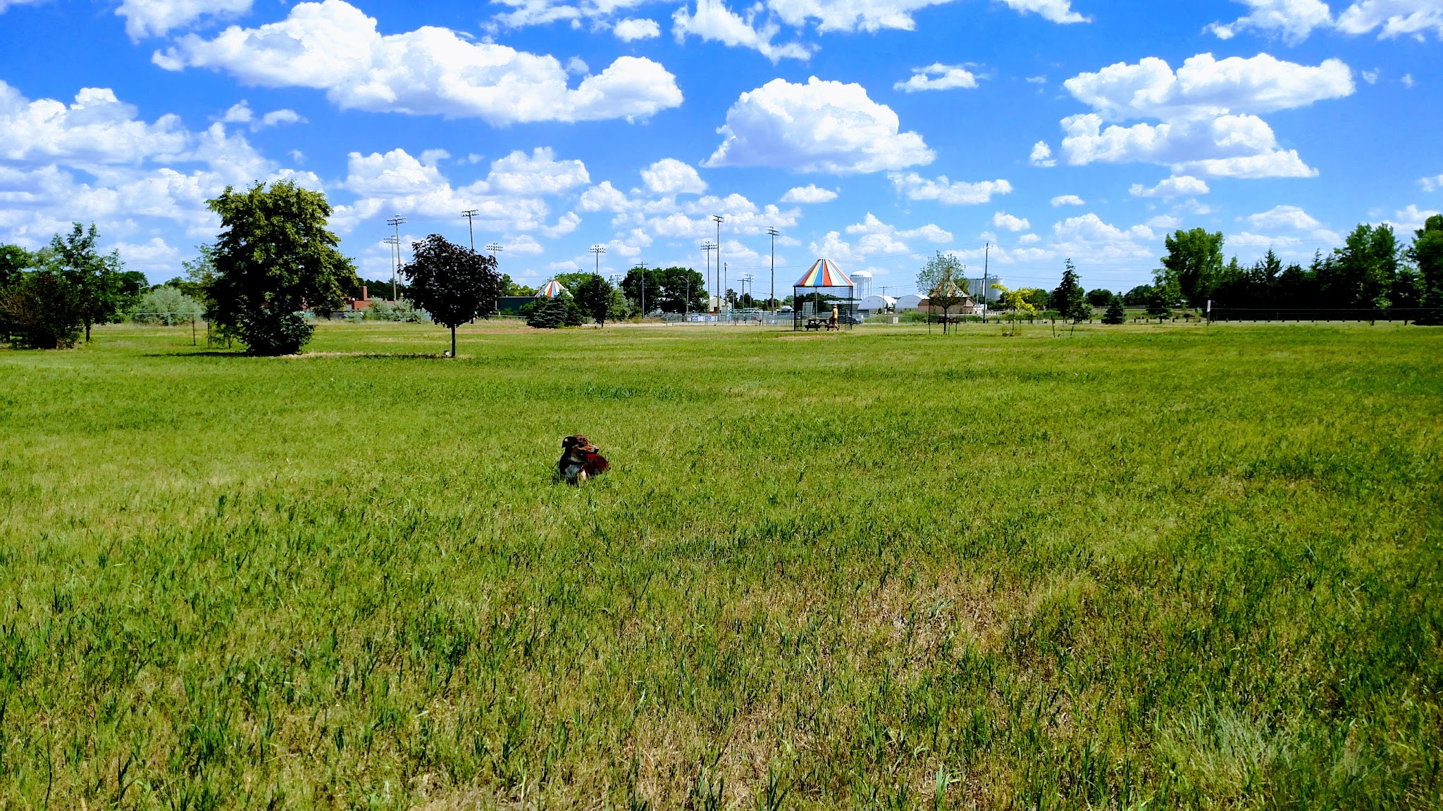 Happy Hound Retreat Dog Park - North Platte, NE