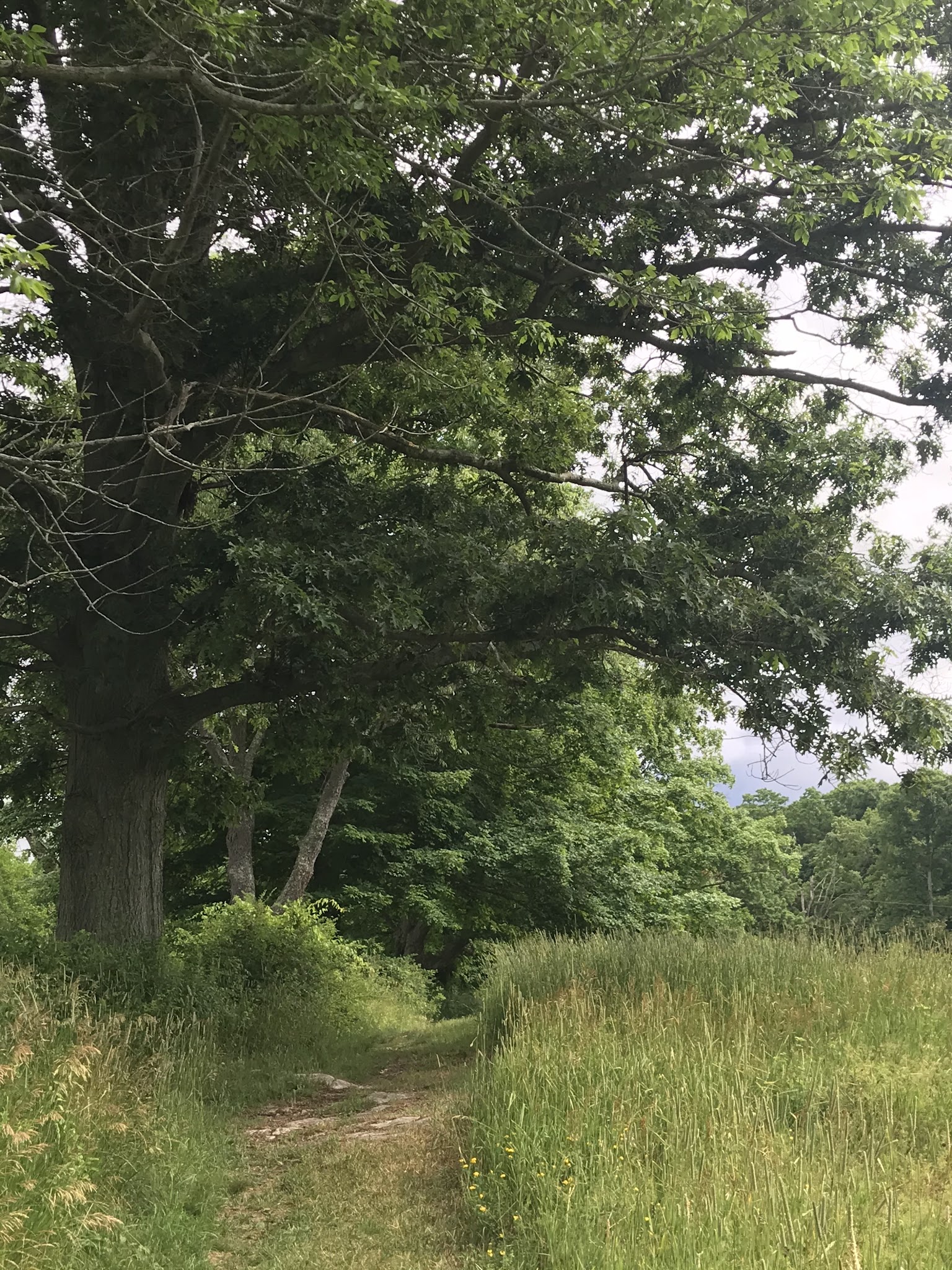 Baxter Preserve- The Racetrack - North Salem, NY