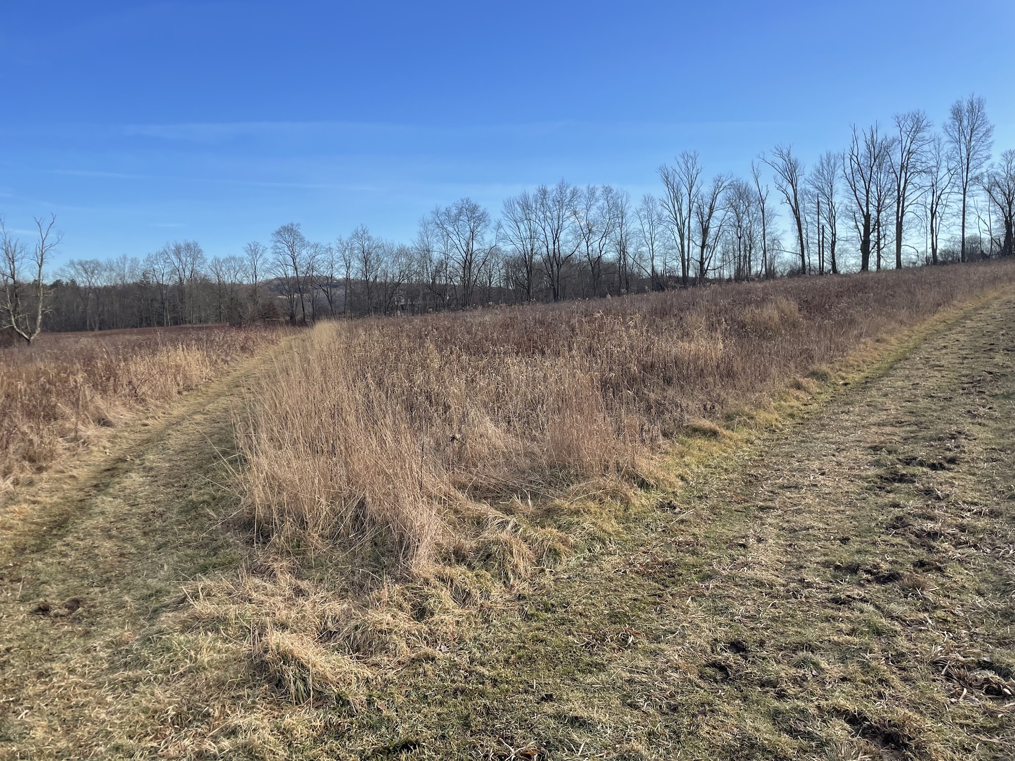 Baxter Preserve- The Racetrack - North Salem, NY