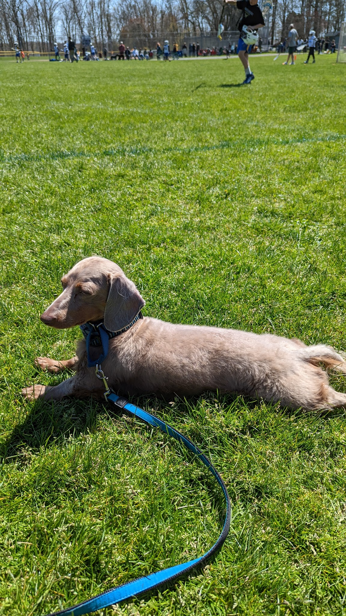Joe Bohrdrum Park - North Salem, NY