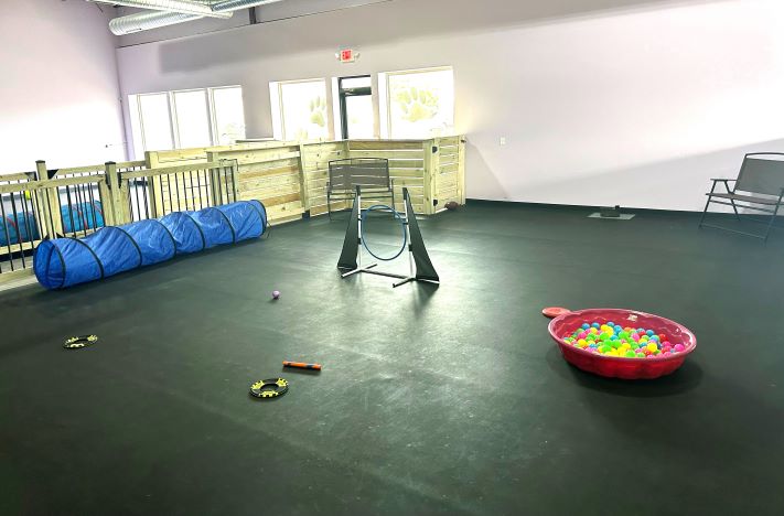 My Lil Pawdise - North Tonawanda, NY