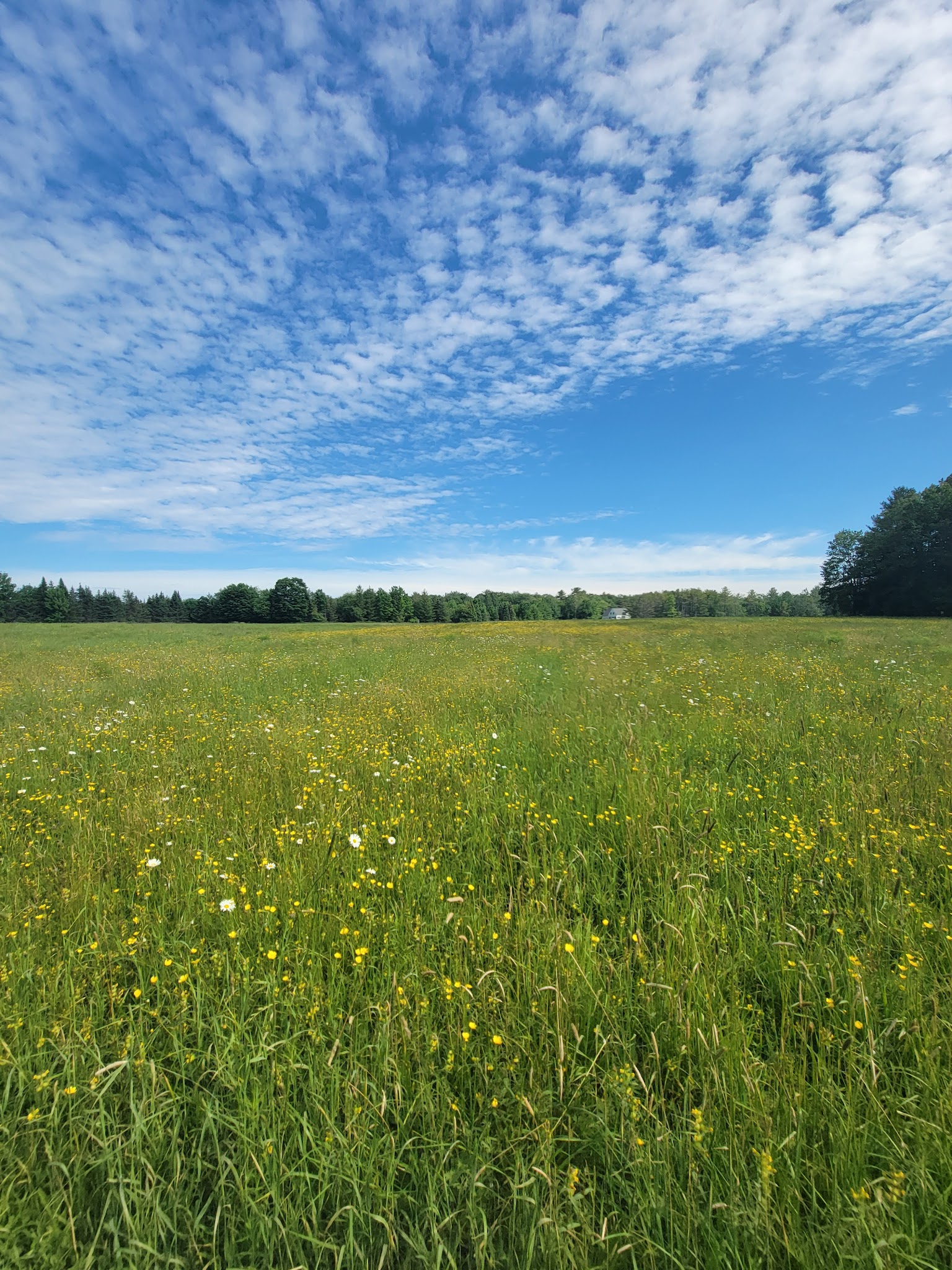 Old Town House Park - North Yarmouth, ME