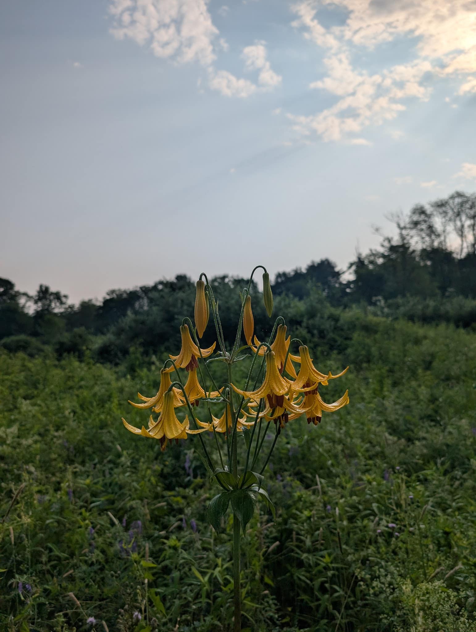 Old Town House Park - North Yarmouth, ME
