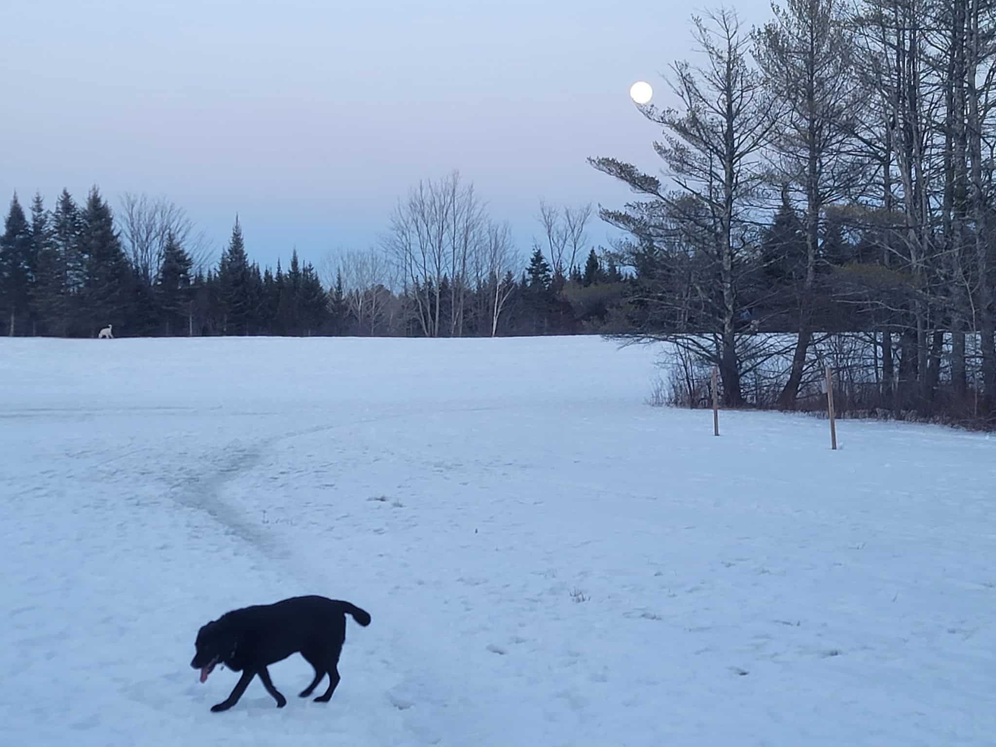 Old Town House Park - North Yarmouth, ME