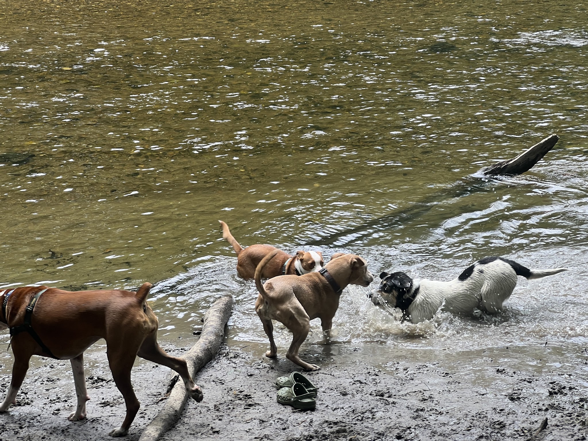 Smith Professional Agricultural Fields - Northampton, MA