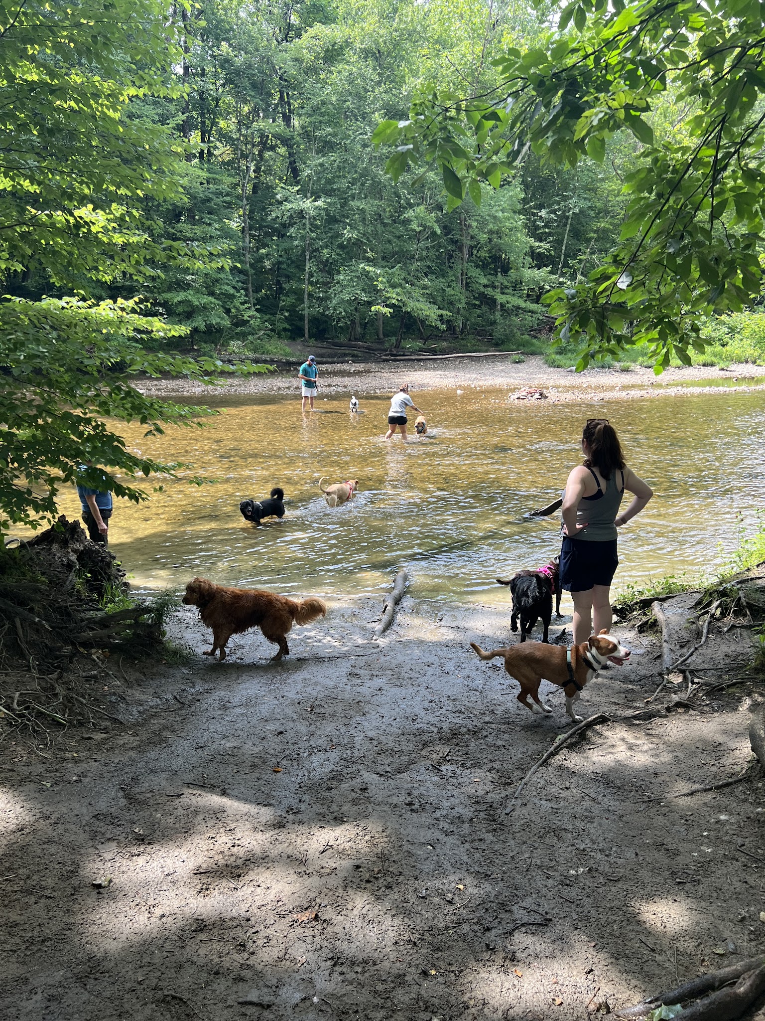 Smith Professional Agricultural Fields - Northampton, MA