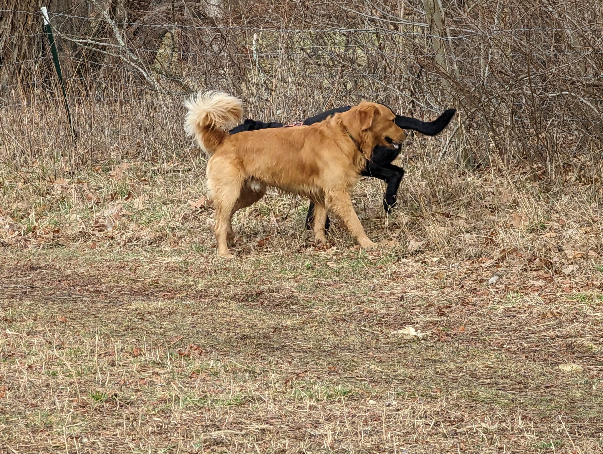 Smith Professional Agricultural Fields - Northampton, MA