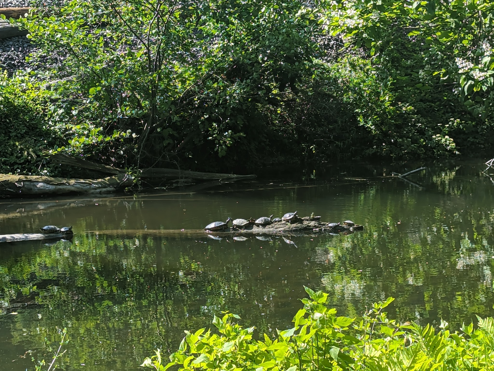 D&L Trail - Northampton Canal Park Trailhead - Northampton, PA