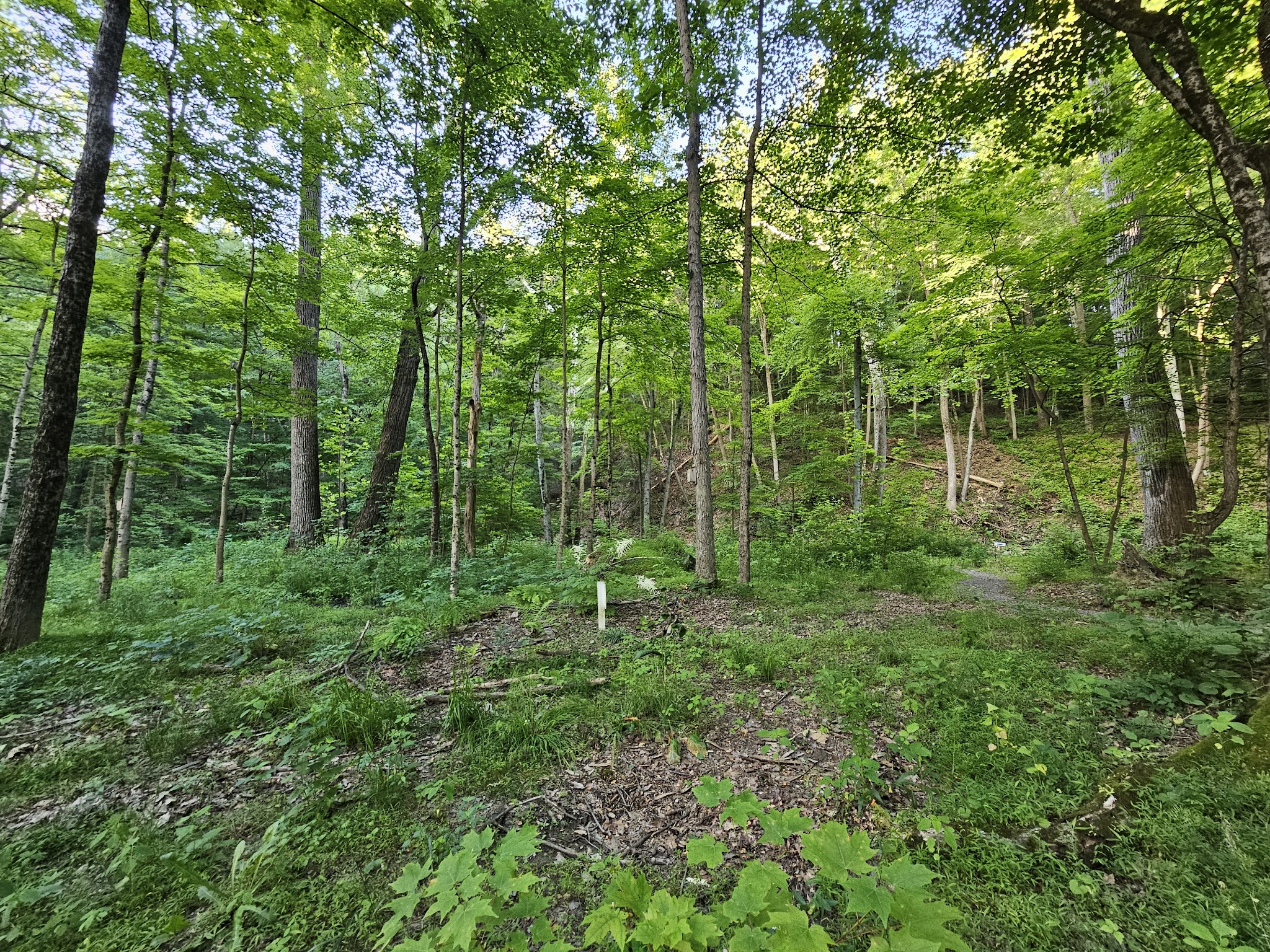 Indian Trail Park - Northampton, PA