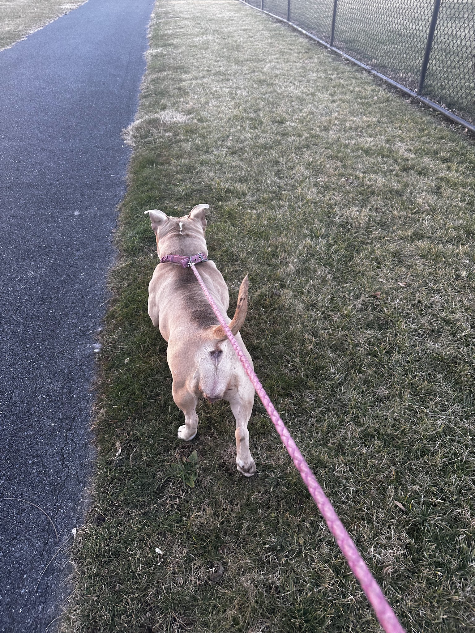 Northampton & Bath Railroad Bike Path - Northampton, PA