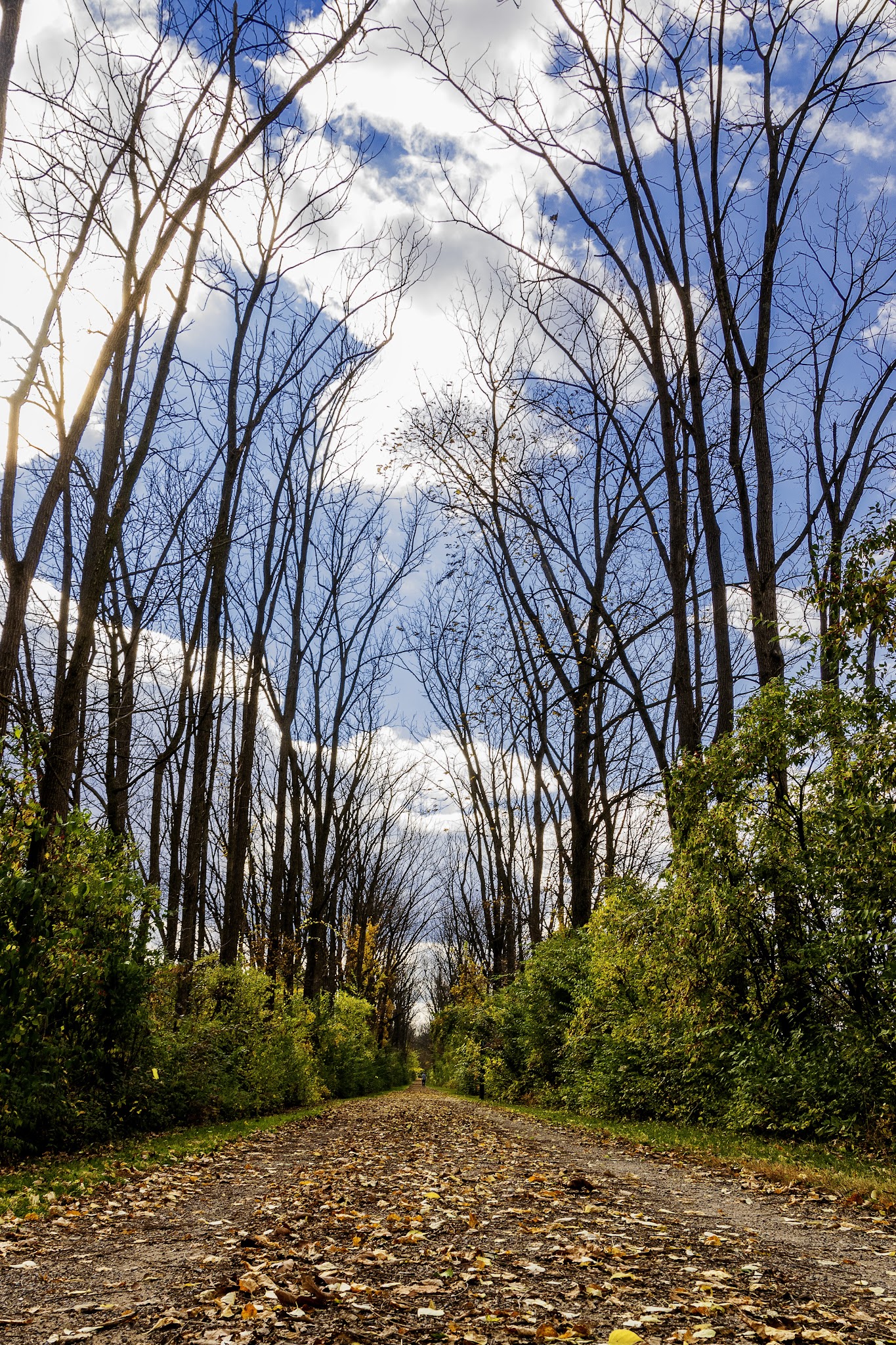 Wayne A. Grube Memorial Park - Northampton, PA