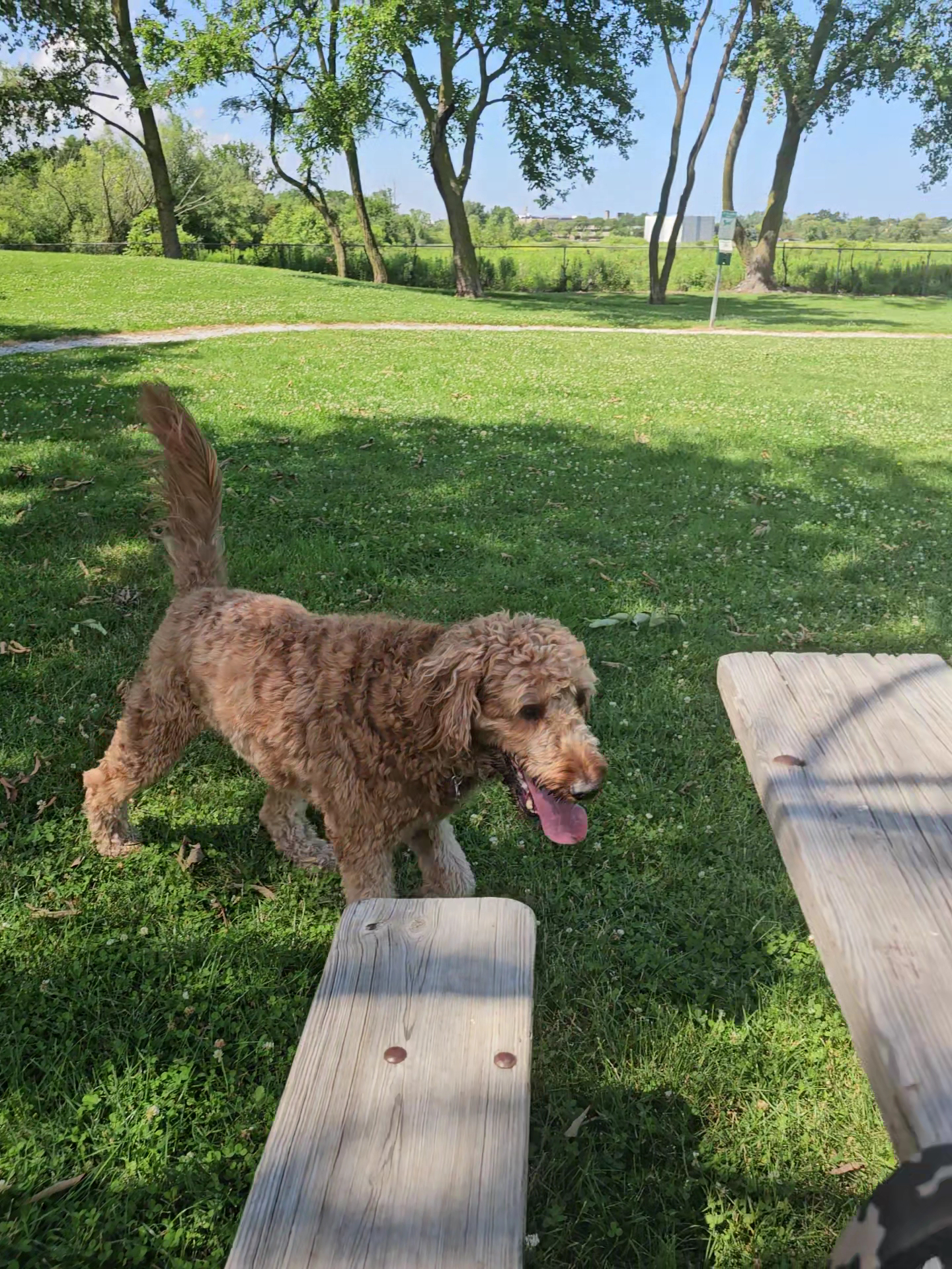 Northbrook Dog Park - Northbrook, IL