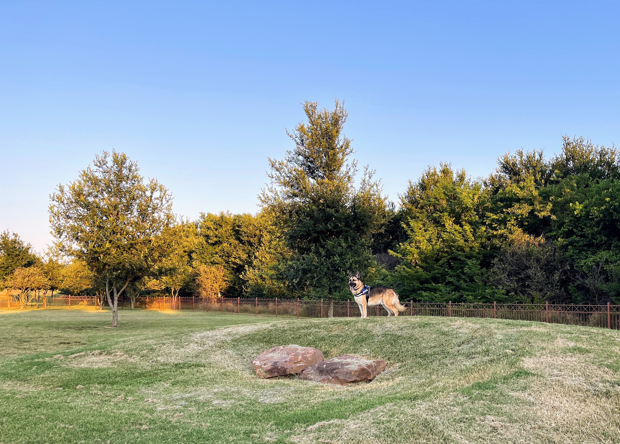 Canyon Falls Dog Park - Northlake, TX