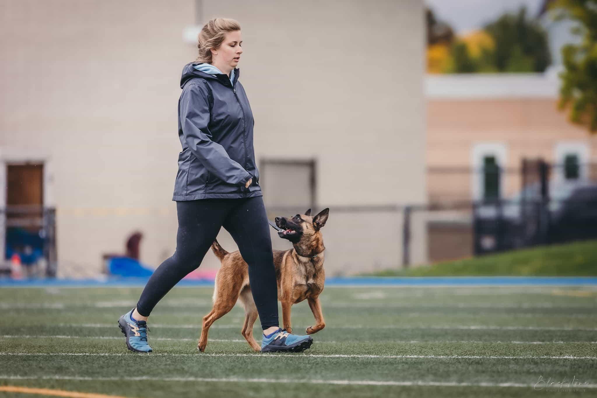 Northwest Canine Coaching LLC - ,