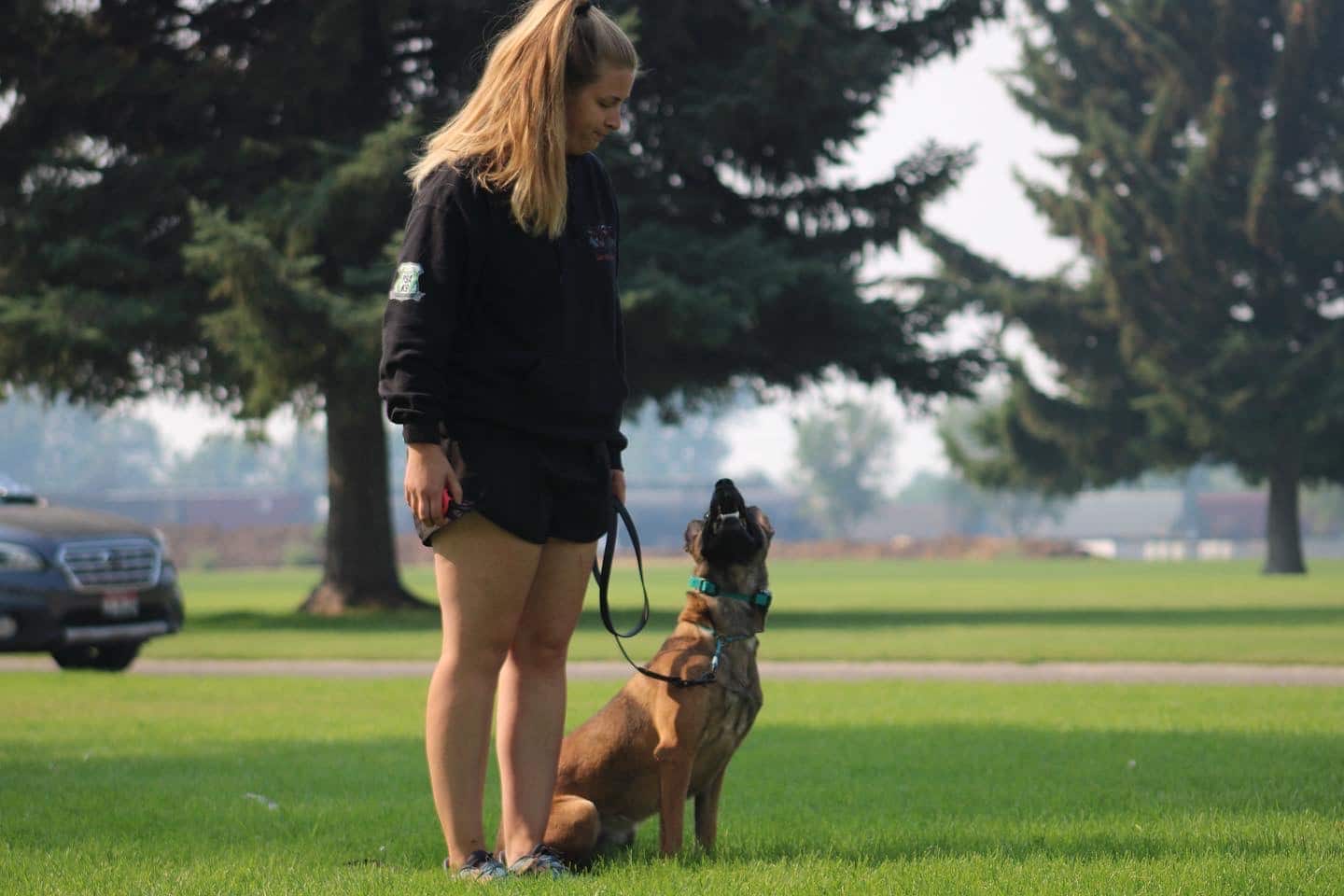 Northwest Canine Coaching LLC - ,