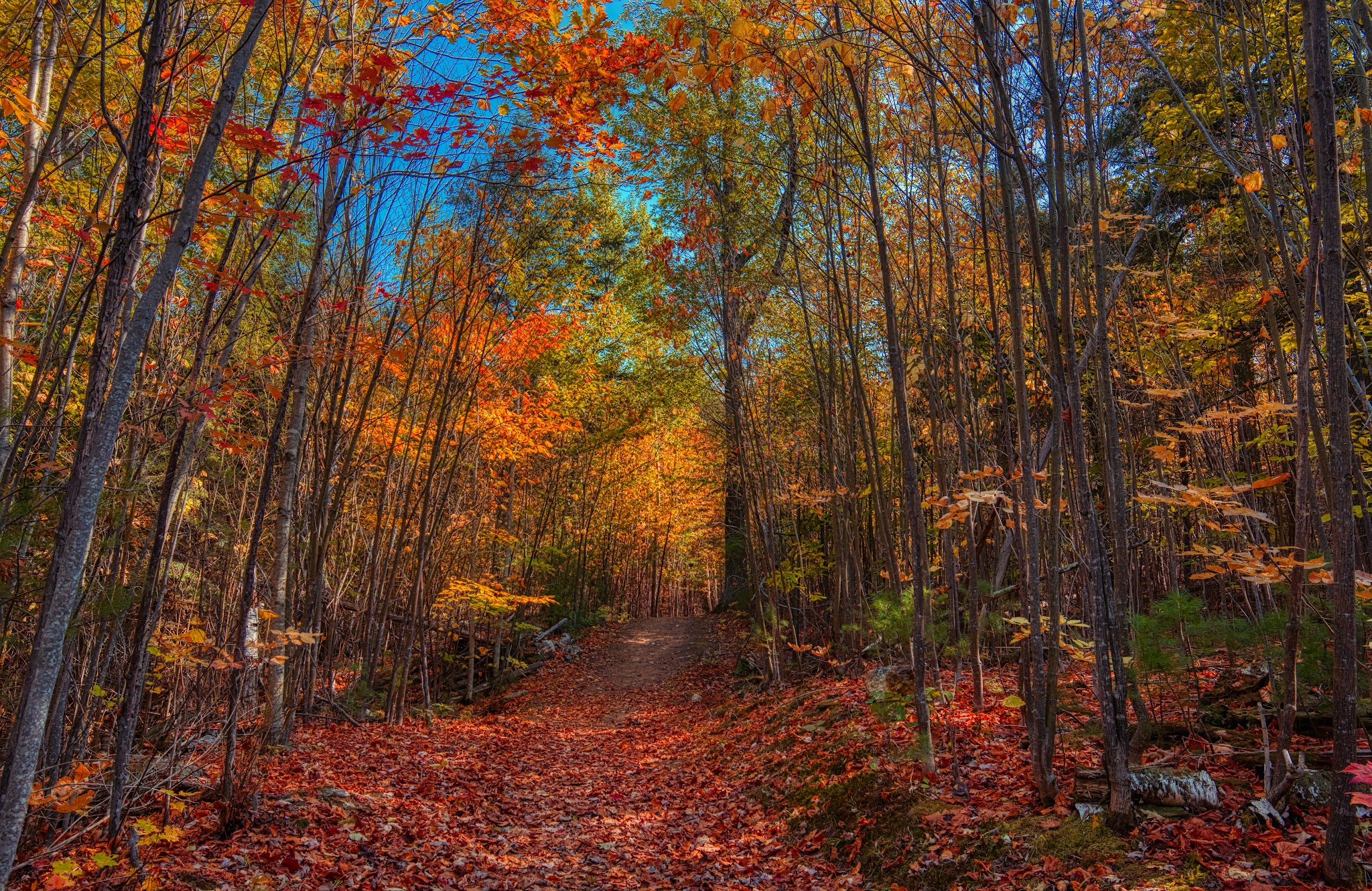 Roberts Farm Preserve Trails - Norway, ME