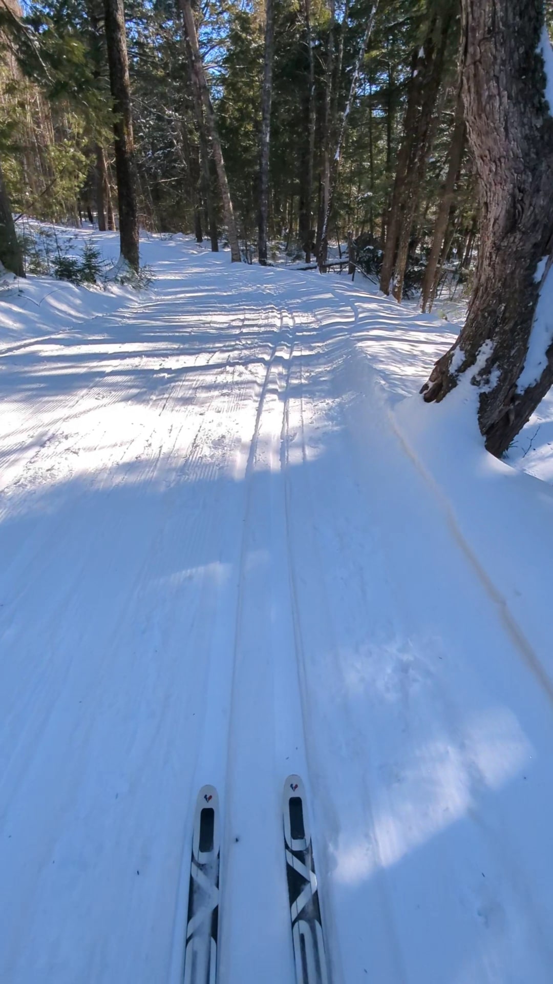 Roberts Farm Preserve Trails - Norway, ME