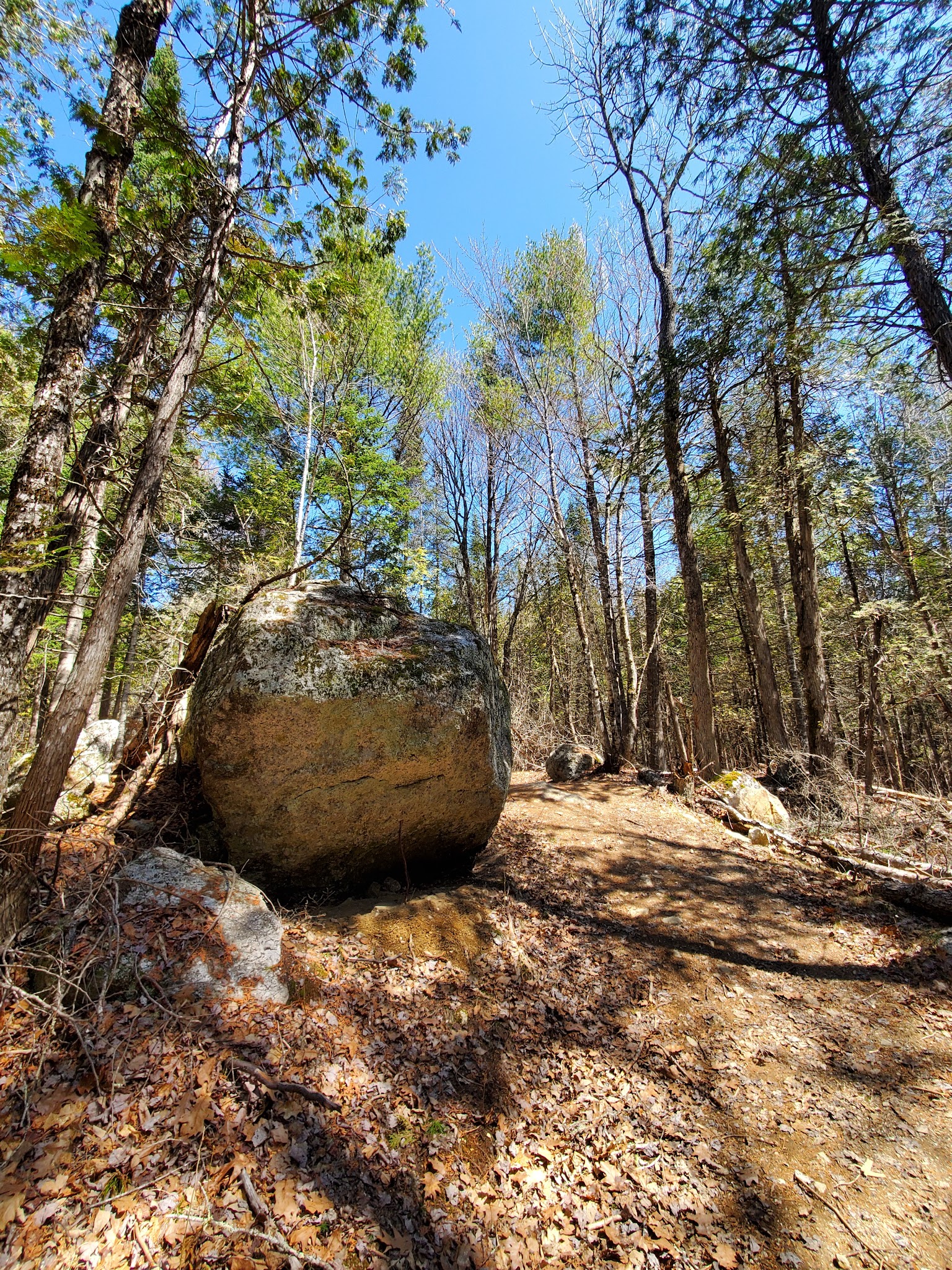 Witt's End Trail - Pleasant Street entrance/parking - Norway, ME