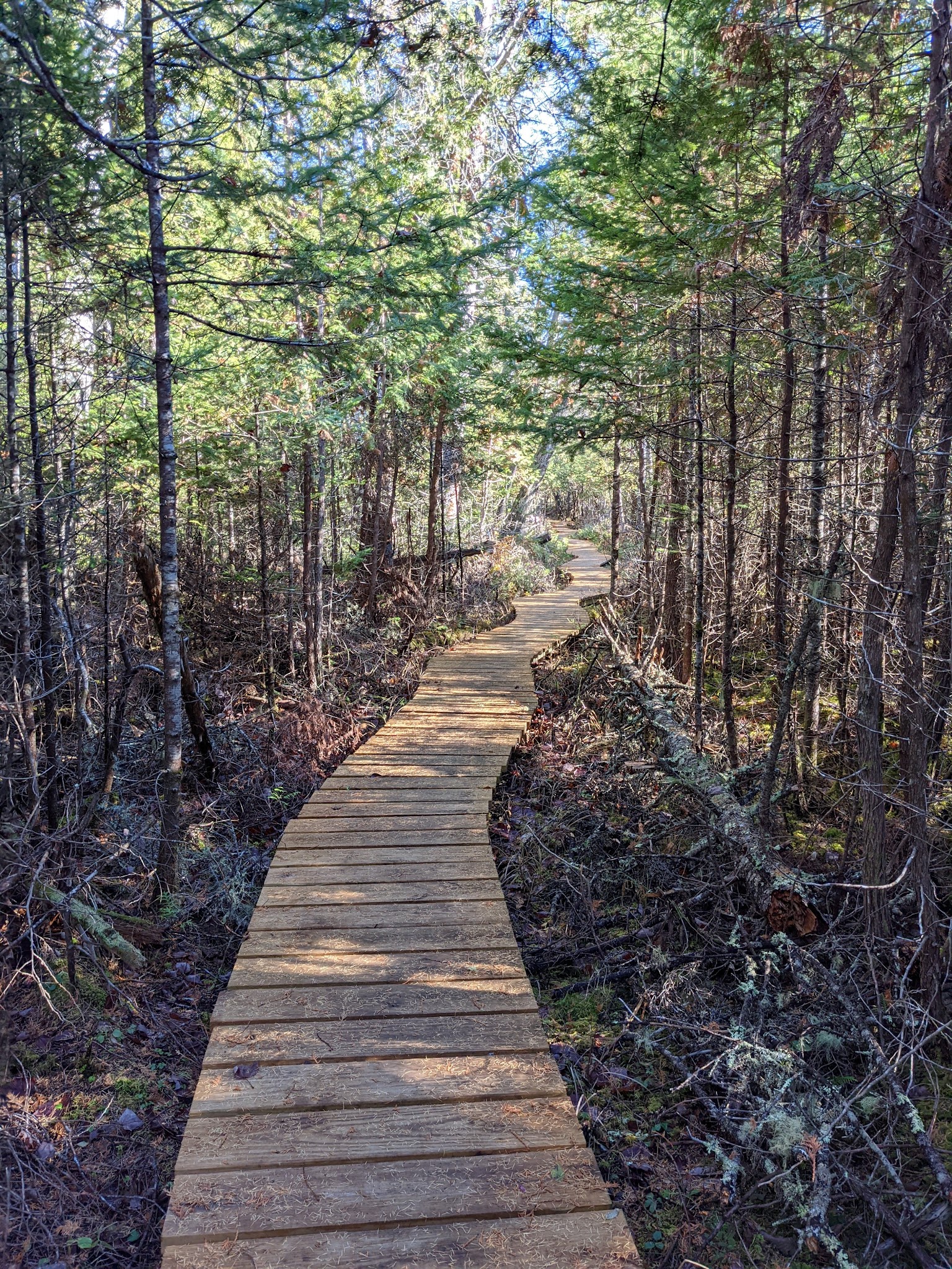 Witt's End Trail - Pleasant Street entrance/parking - Norway, ME