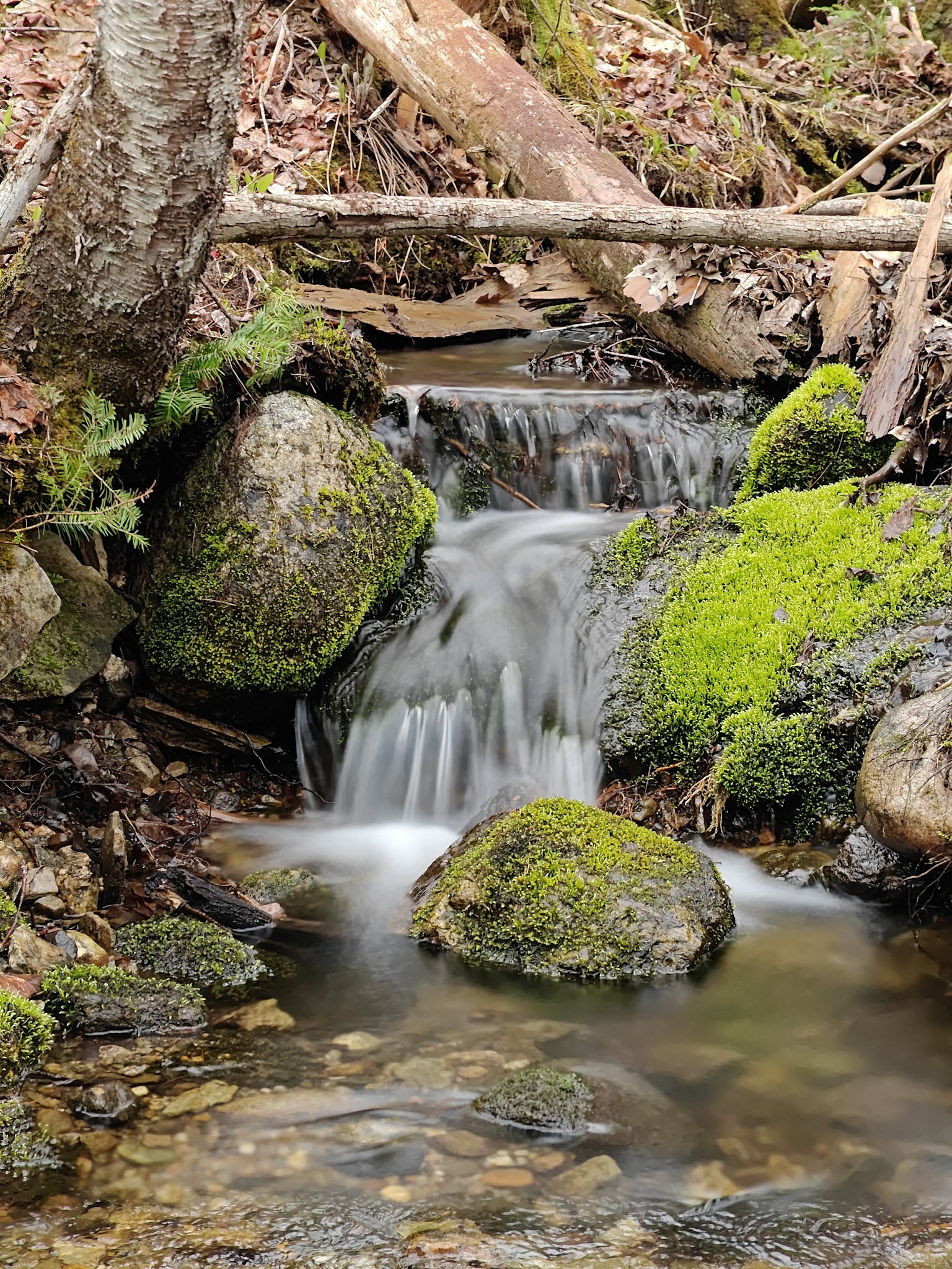 Witt's End Trail - Pleasant Street entrance/parking - Norway, ME