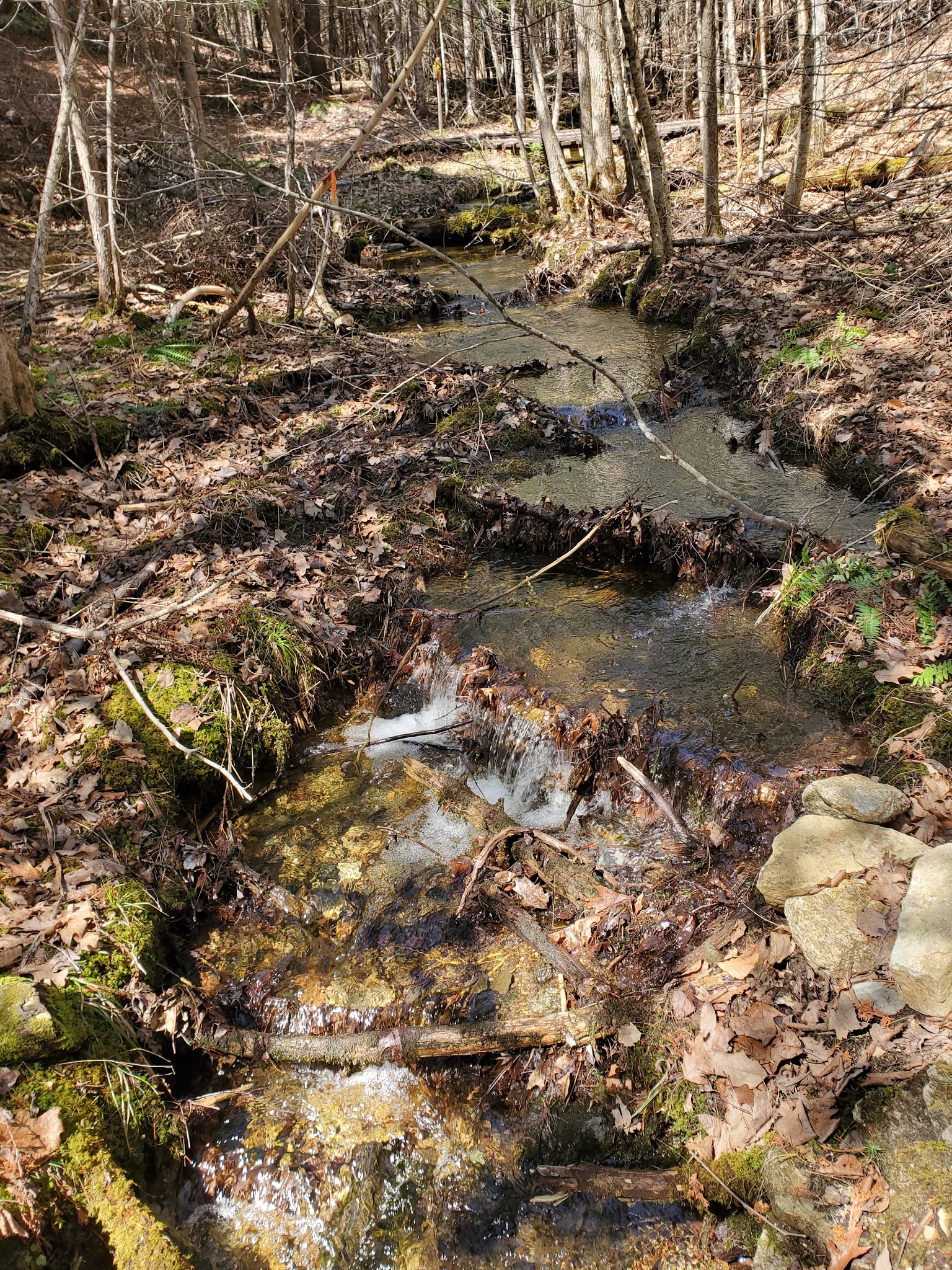 Witt's End Trail - Pleasant Street entrance/parking - Norway, ME