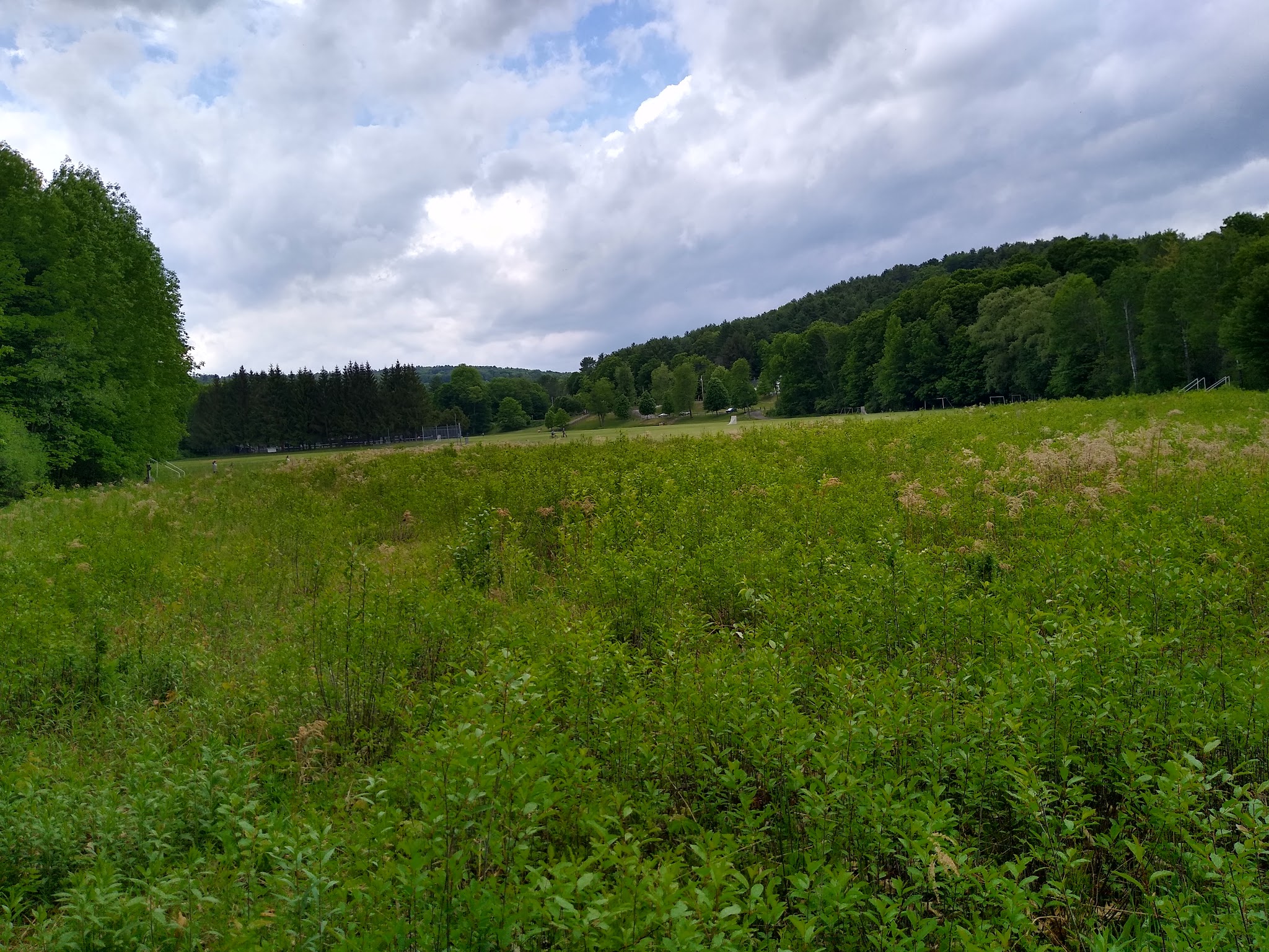 Huntley Meadow Athletic Fields - Norwich, VT