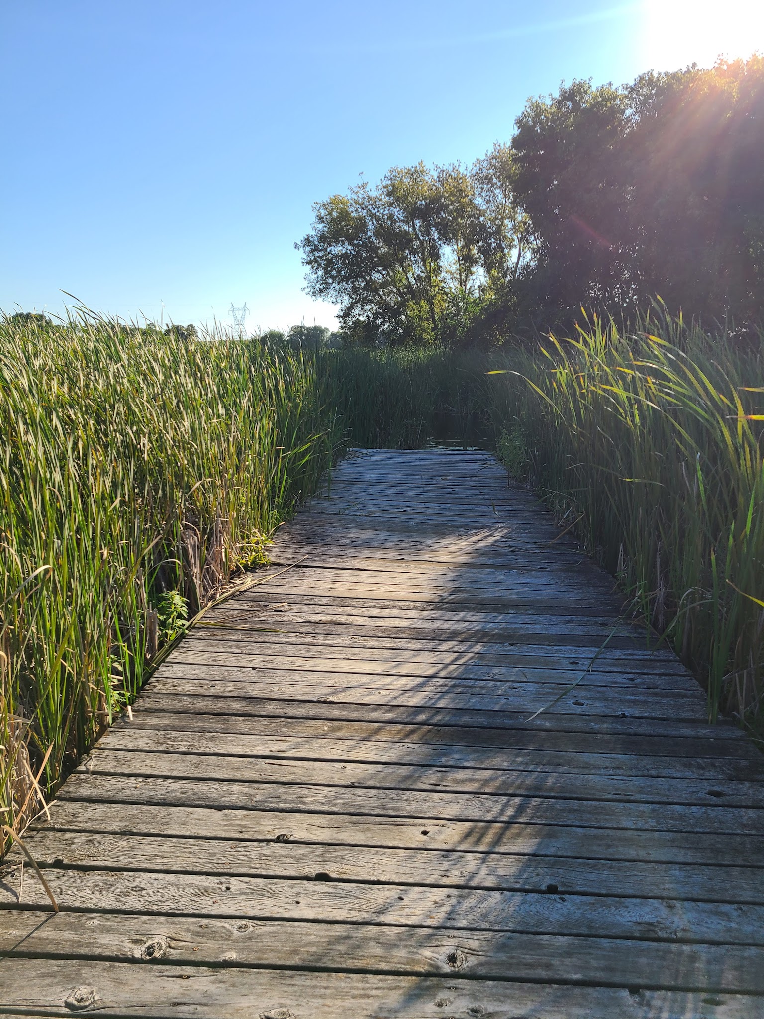 Baylor Regional Park - Norwood Young America, MN