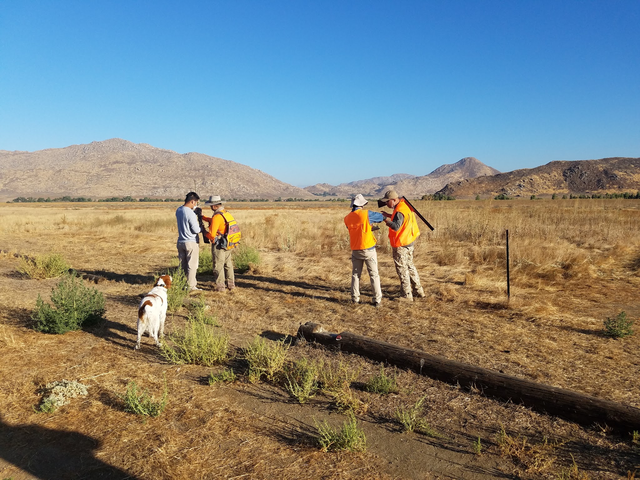 San Jacinto Dog Training Park - Nuevo, CA