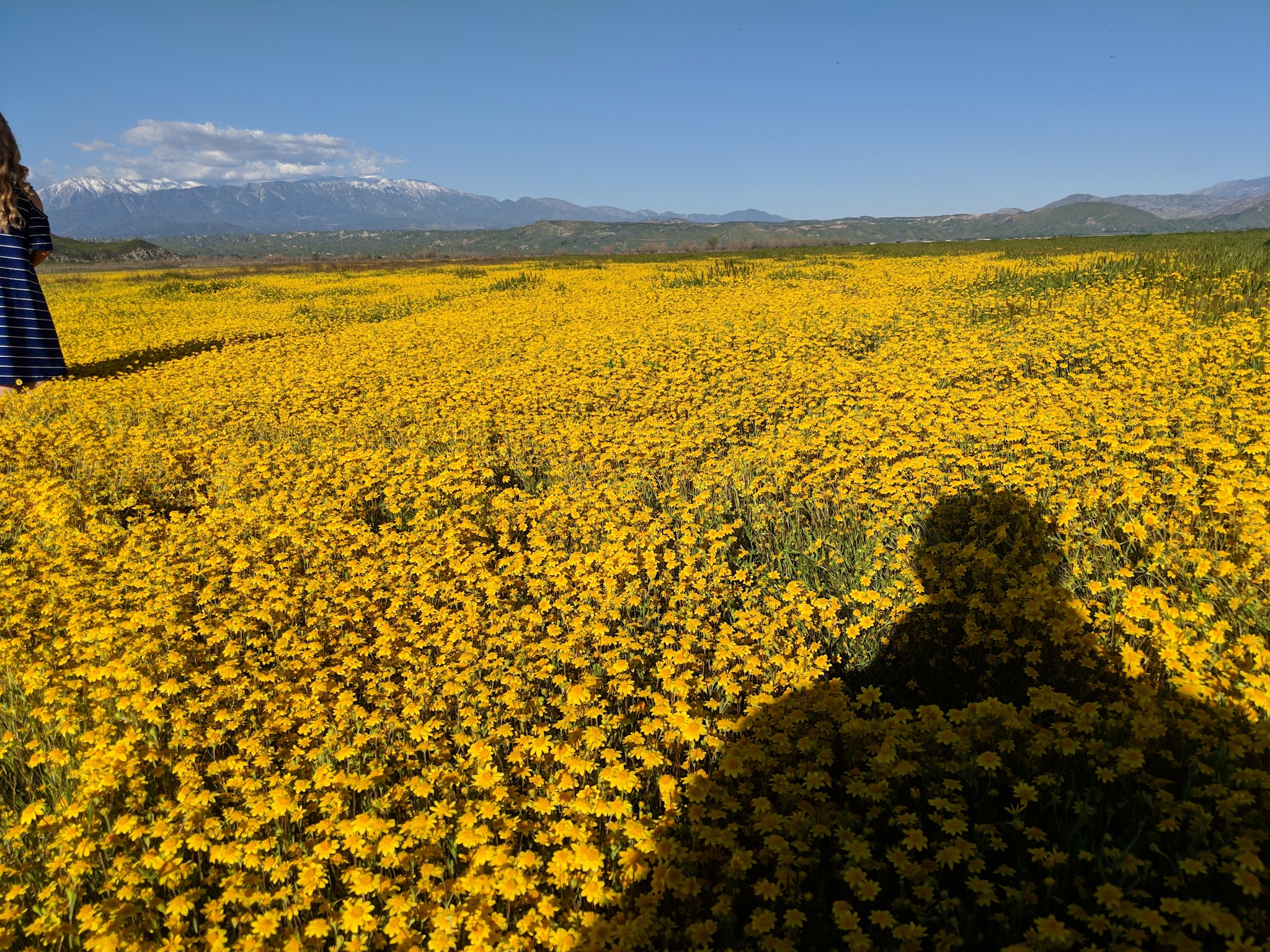 San Jacinto Dog Training Park - Nuevo, CA