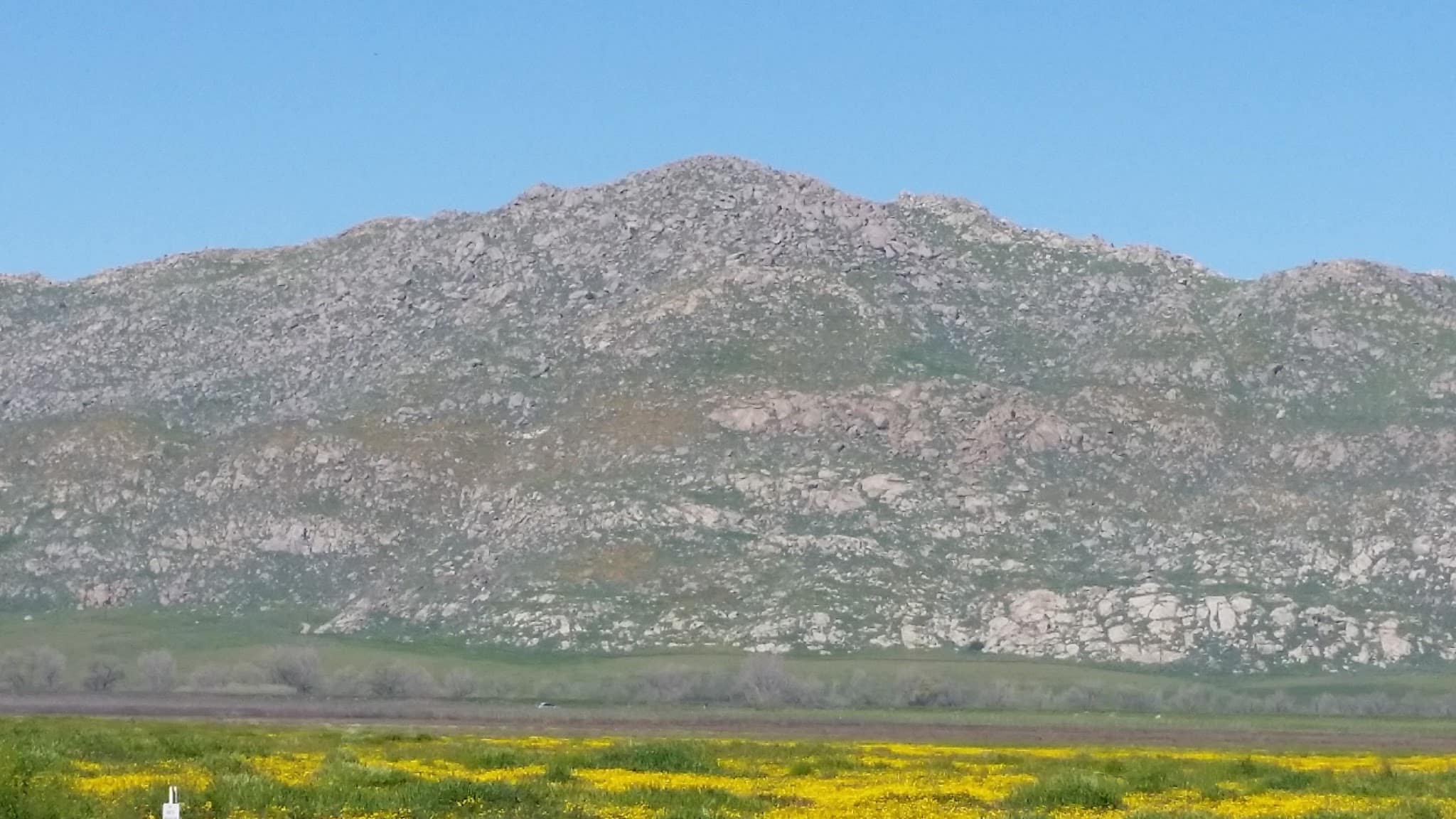 San Jacinto Dog Training Park - Nuevo, CA