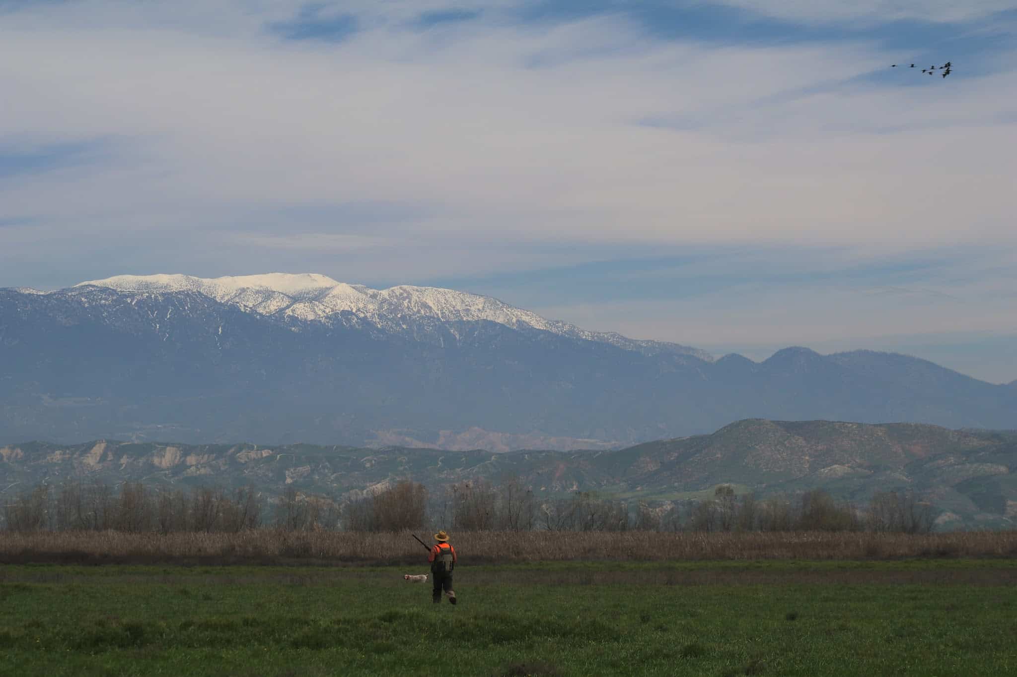 San Jacinto Dog Training Park - Nuevo, CA
