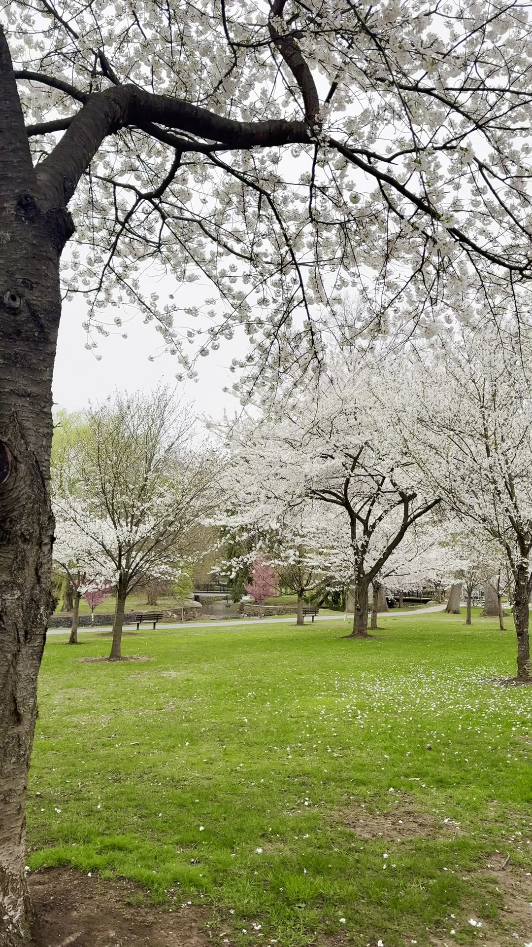 Memorial Park 3 - Nutley, NJ